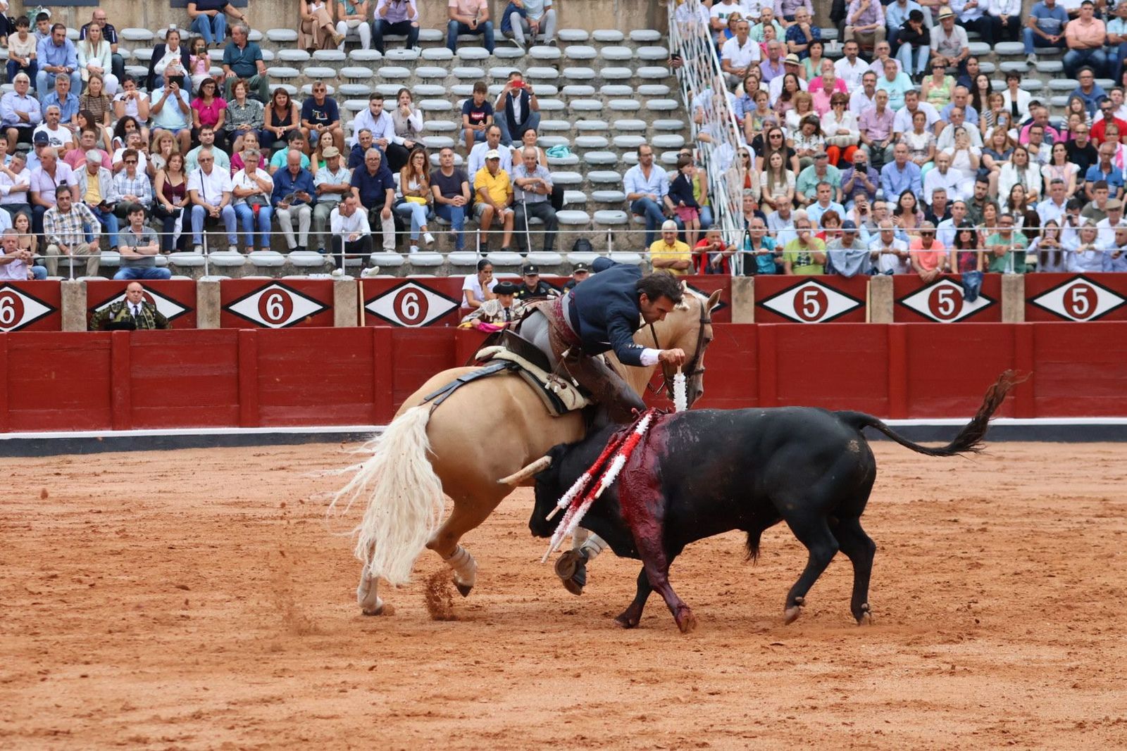 20230909174658-img-0548