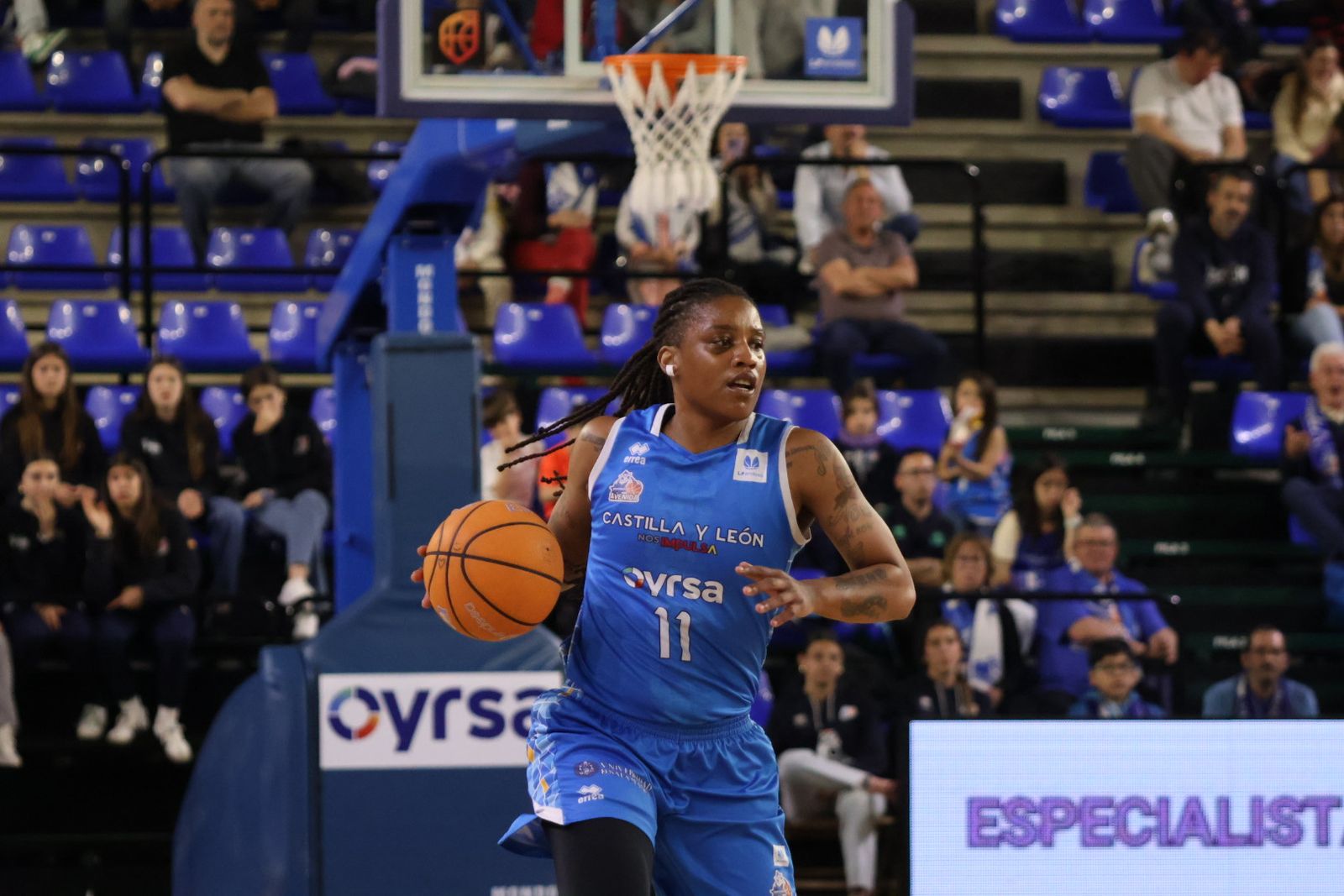 Perfumerías Avenida - Araski