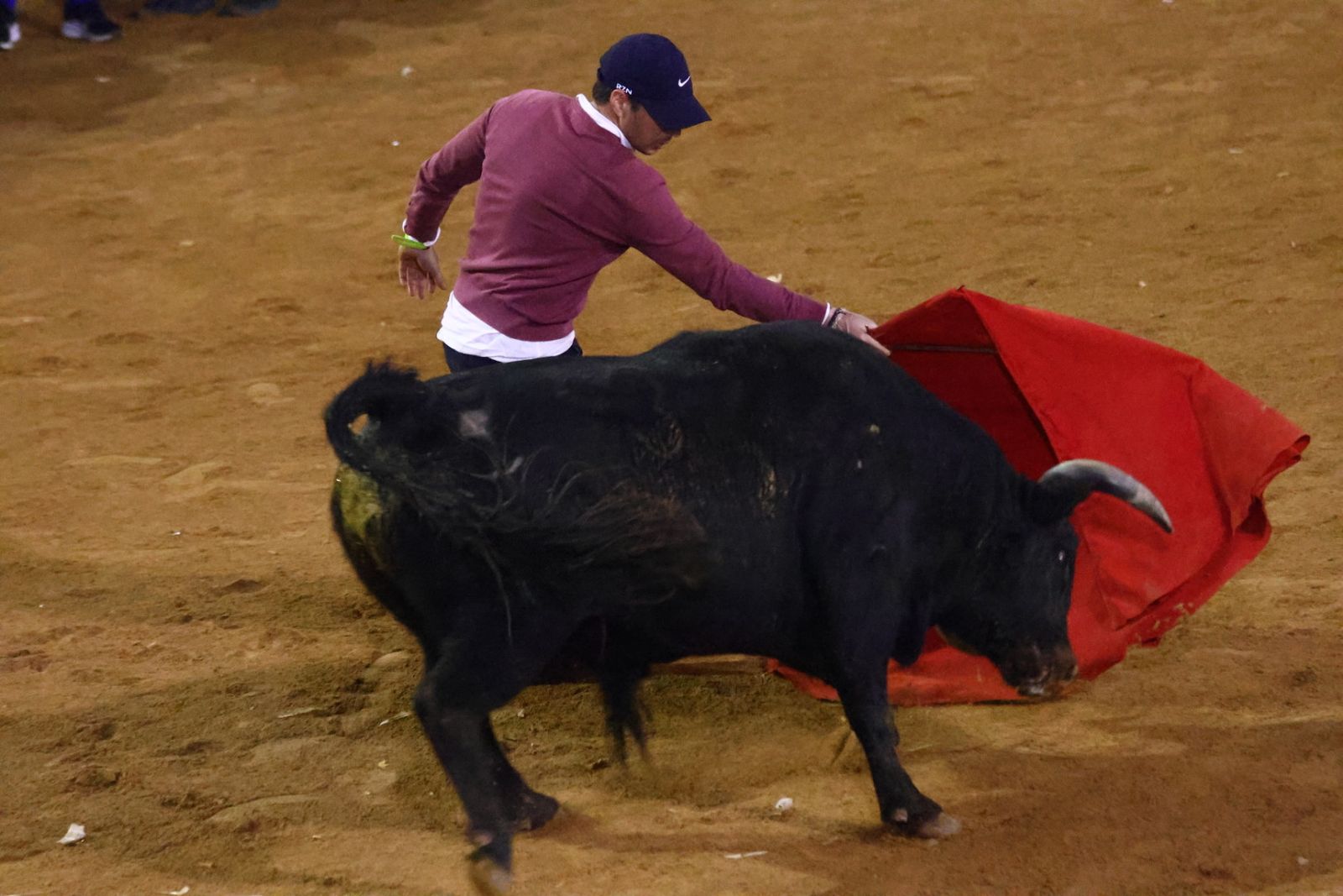 Capea nocturna de lunes en el Carnaval del Toro 2026
