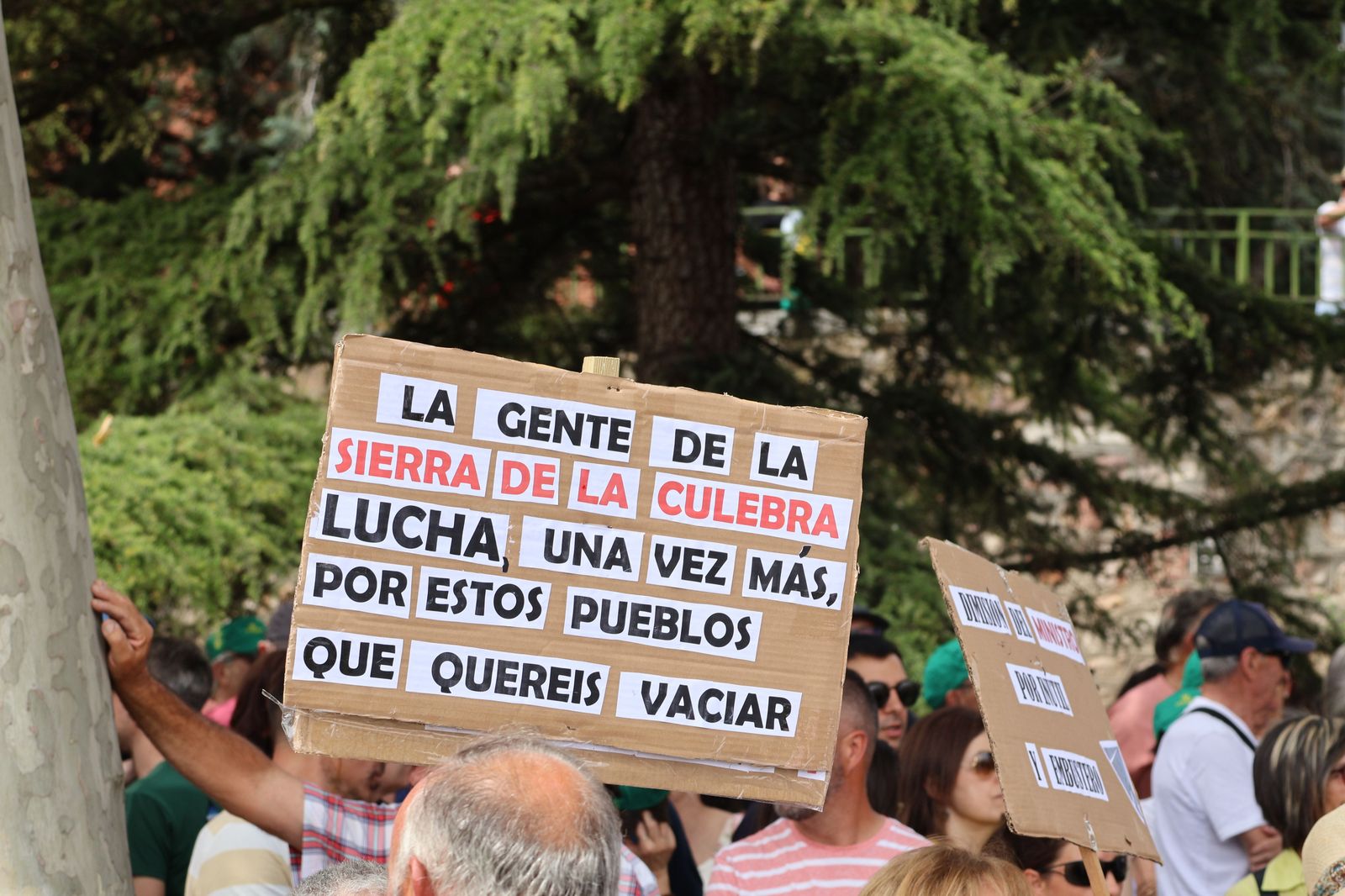 manifestacion-contra-la-perida-de-servicios-de-ave-36
