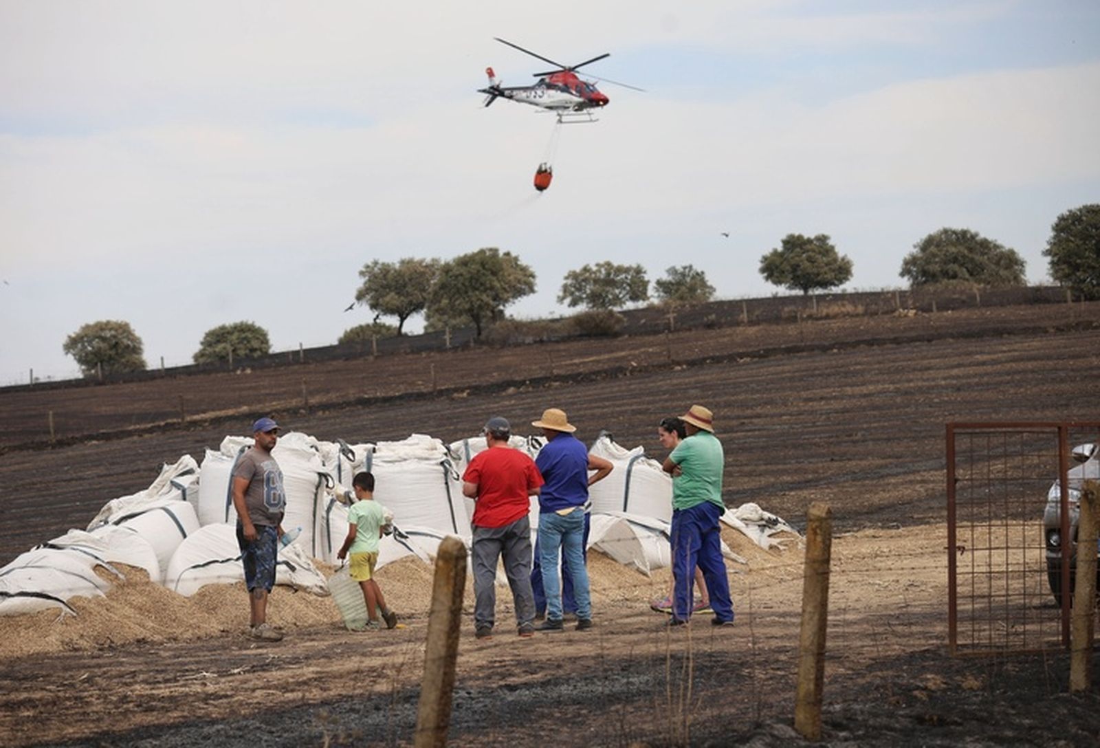 Así ha sido la actución de los Servicios de Extinción para sofocar el incendio en Castillejo de Martín Viejo