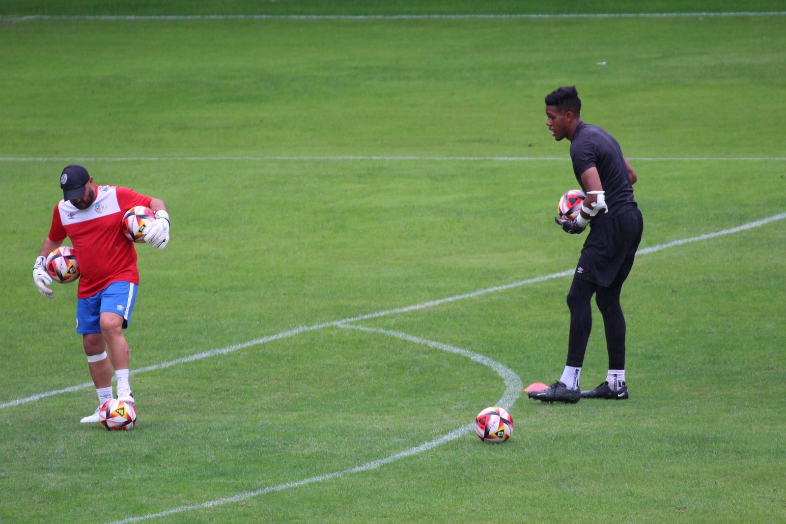 20231015173510-img-3550