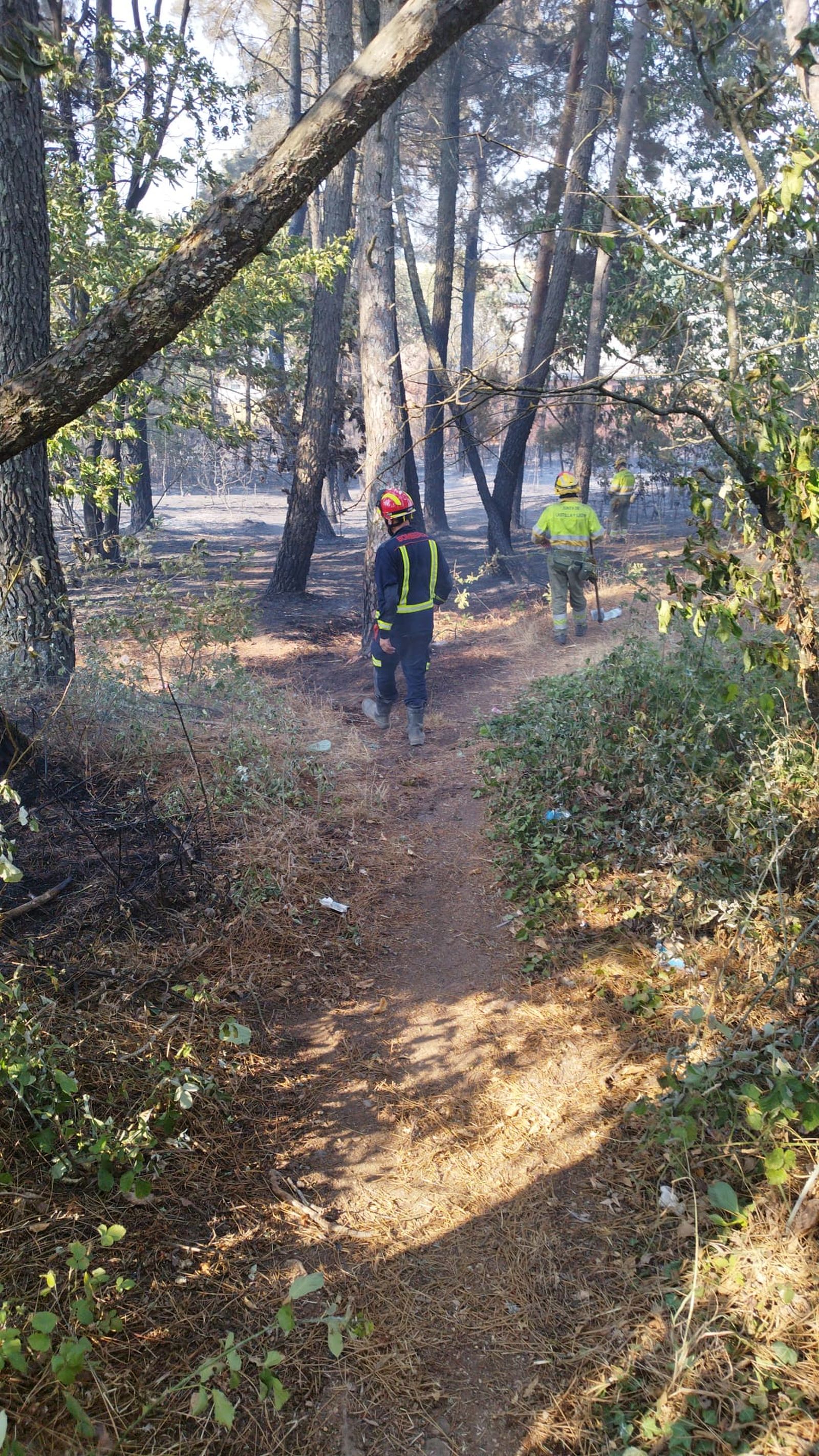 GALERÍA | Así evolucionaron los tres focos del fuego en Alcañices