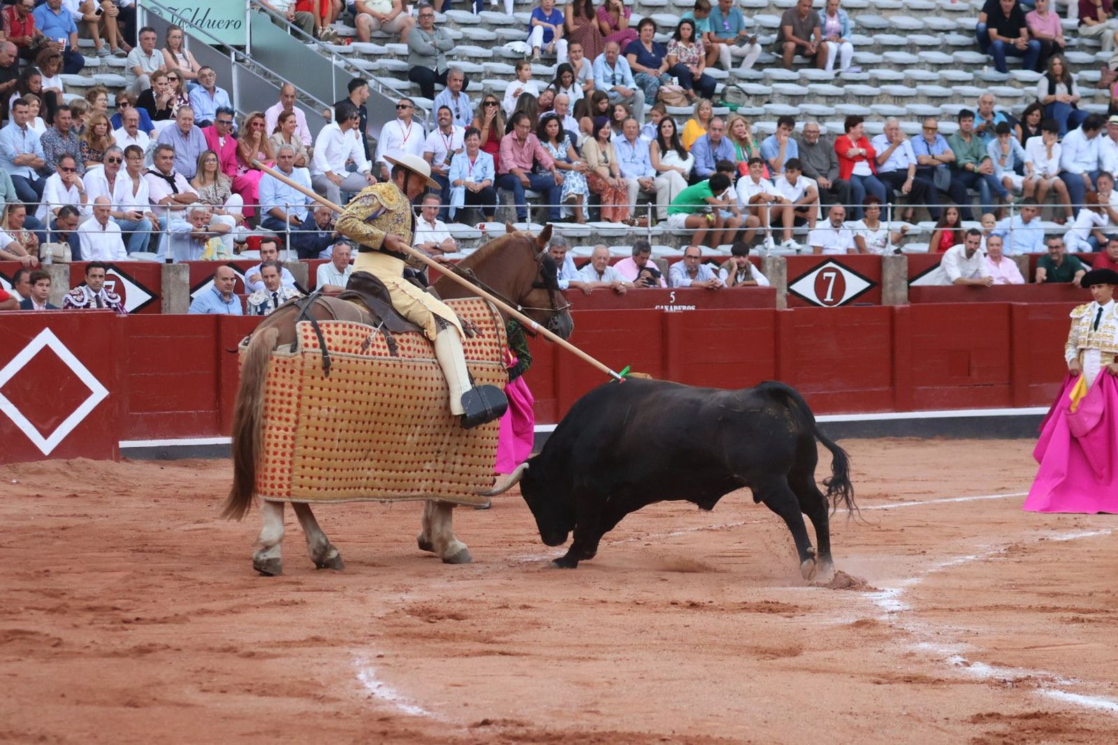 20230910191314-img-2248