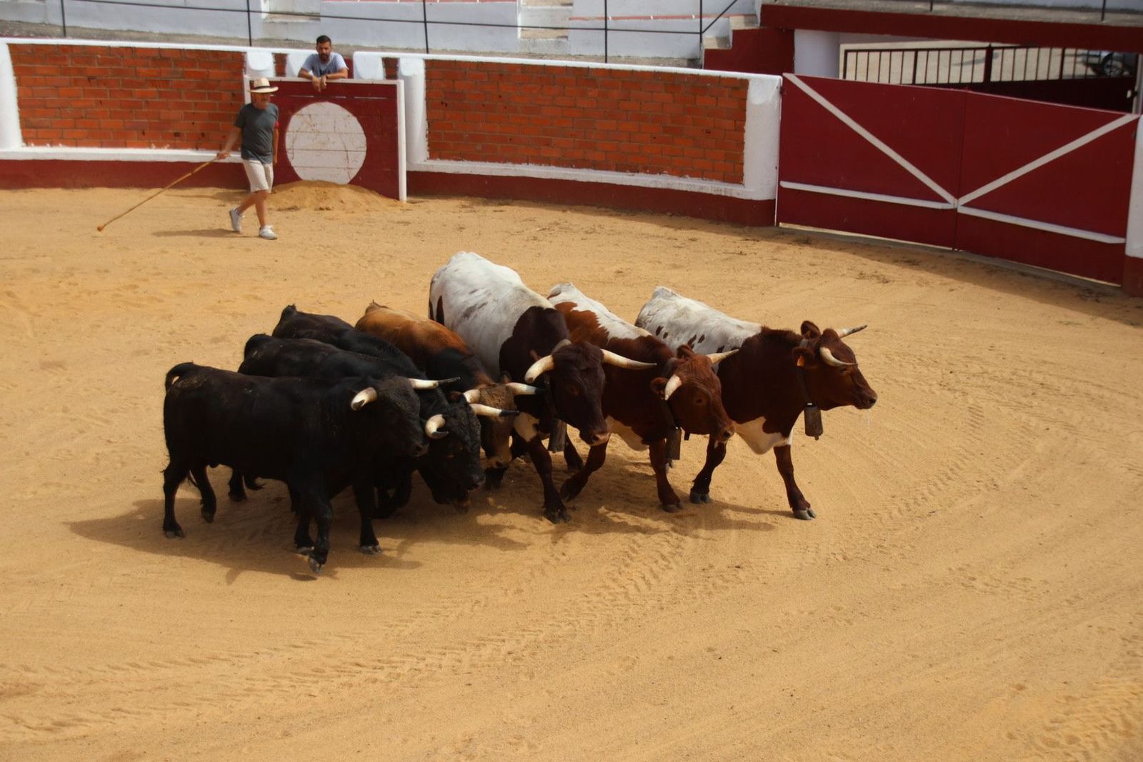 20230809113534-img-9547