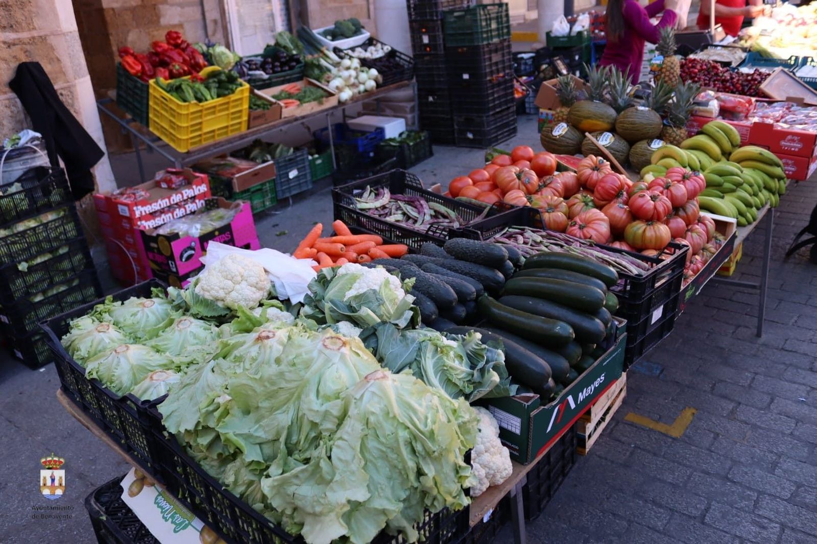 Mercadillo de fruta y verdura de Benavente