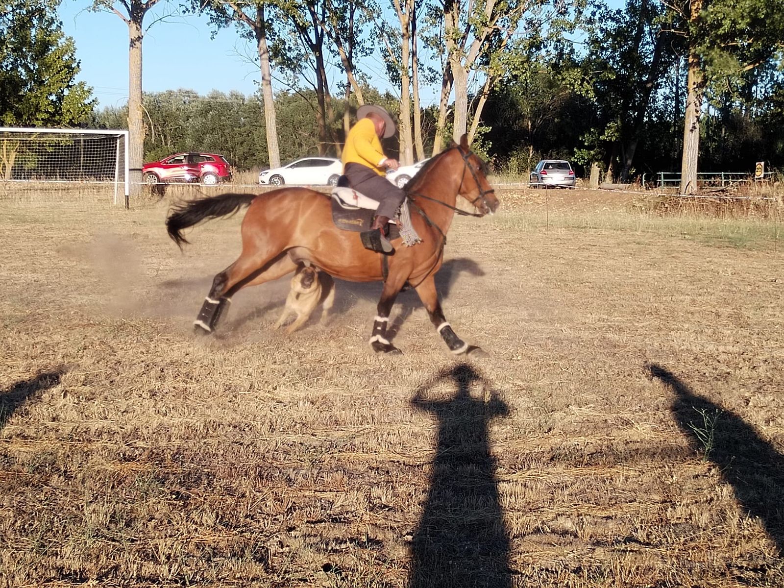 exhibicion-ecuestre-en-san-pedro-de-zamudia-12