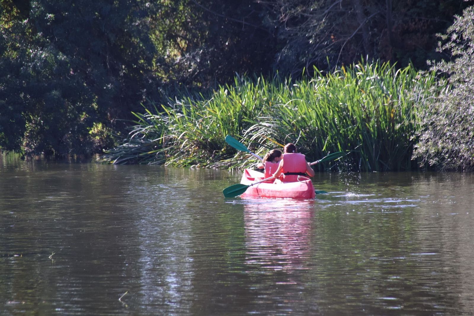 20230813092140-img-1338