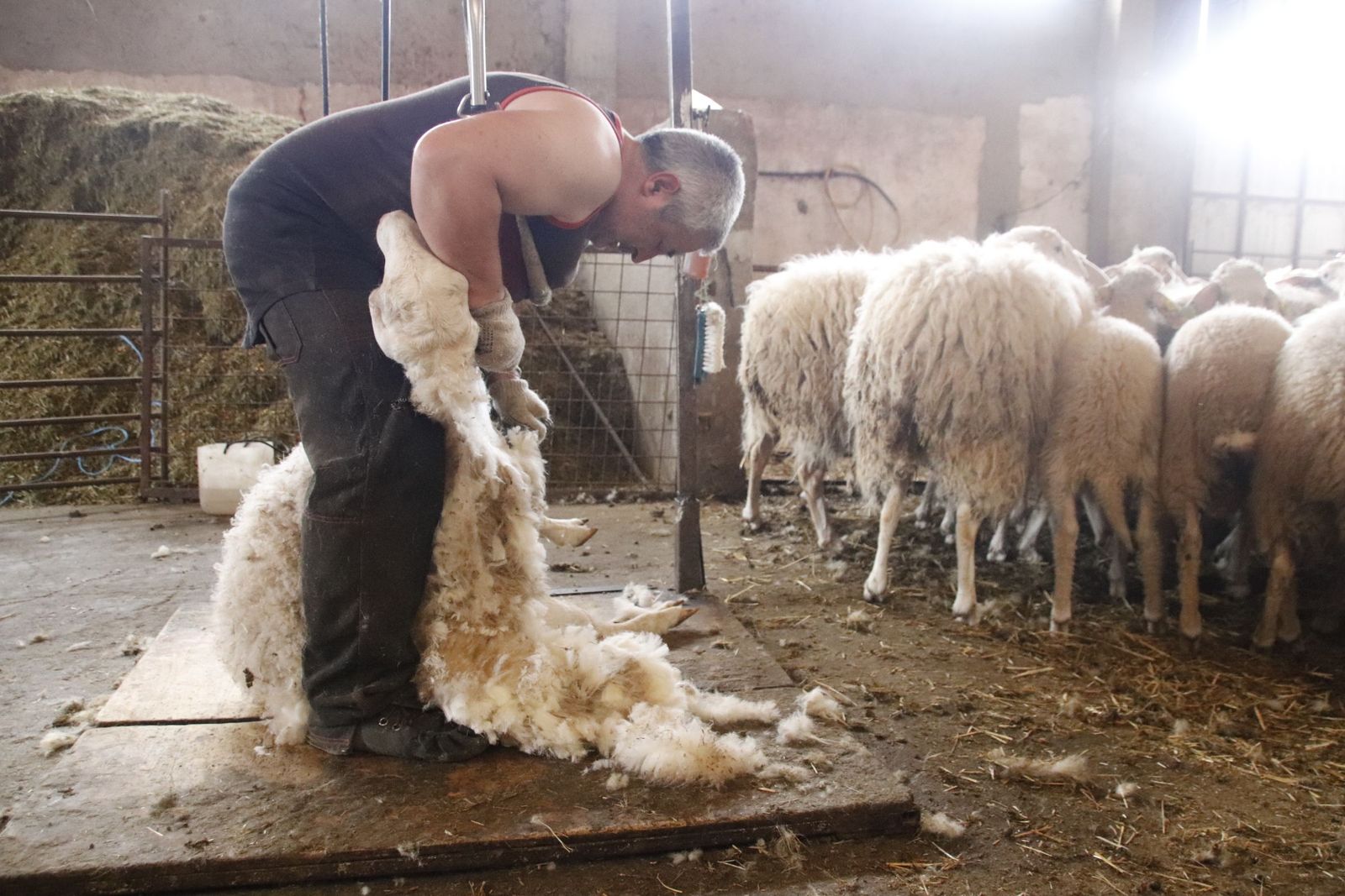 20220520103024-mg-8473