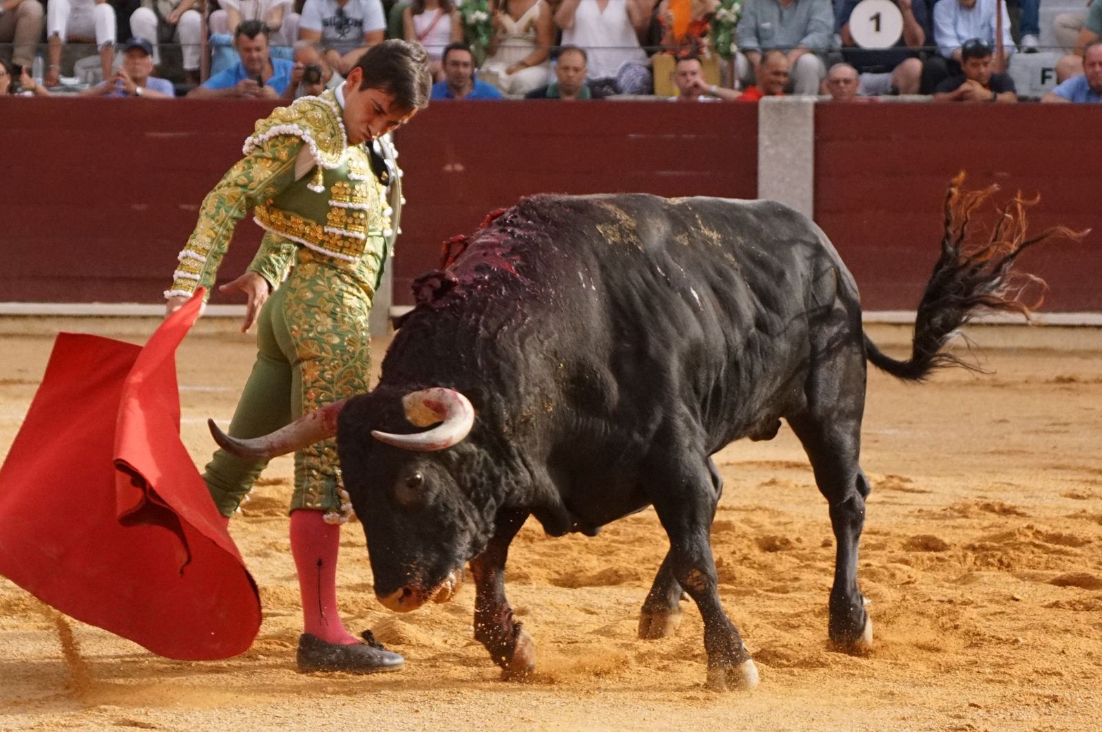 Javier Castaño se despide de Guijuelo y Damián Castaño, su hermano, e Ismael Martín salen a hombros en Guijuelo