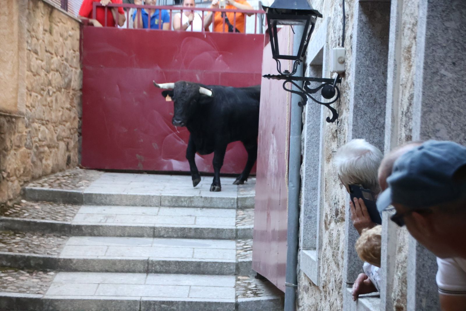 San Esteban de la Sierra, festival taurino sin picadores