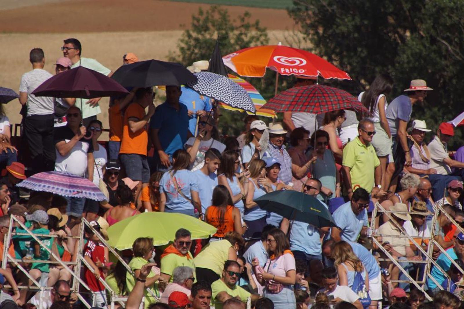 espantes-de-fuentesauco-38