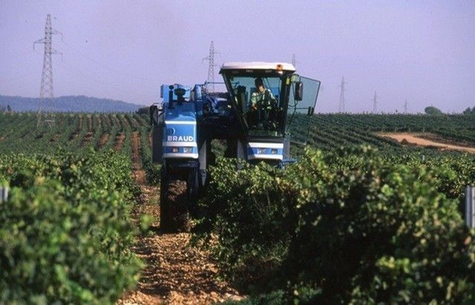 Cañete insiste a Castilla y León en que no tiene fondos para la Ley de Desarrollo Rural