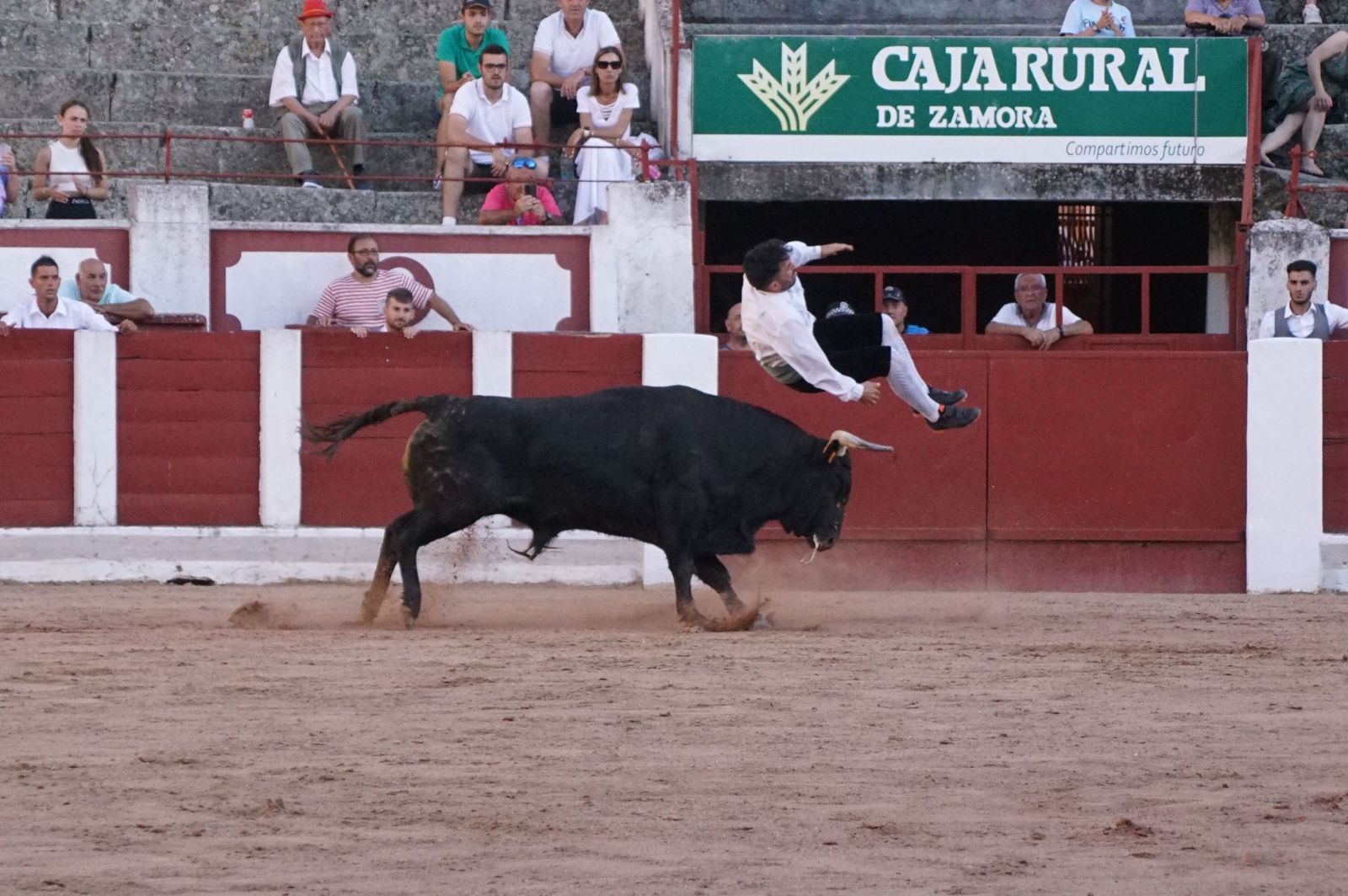 whatsapp-image-2023-07-02-at-22-40-54-1