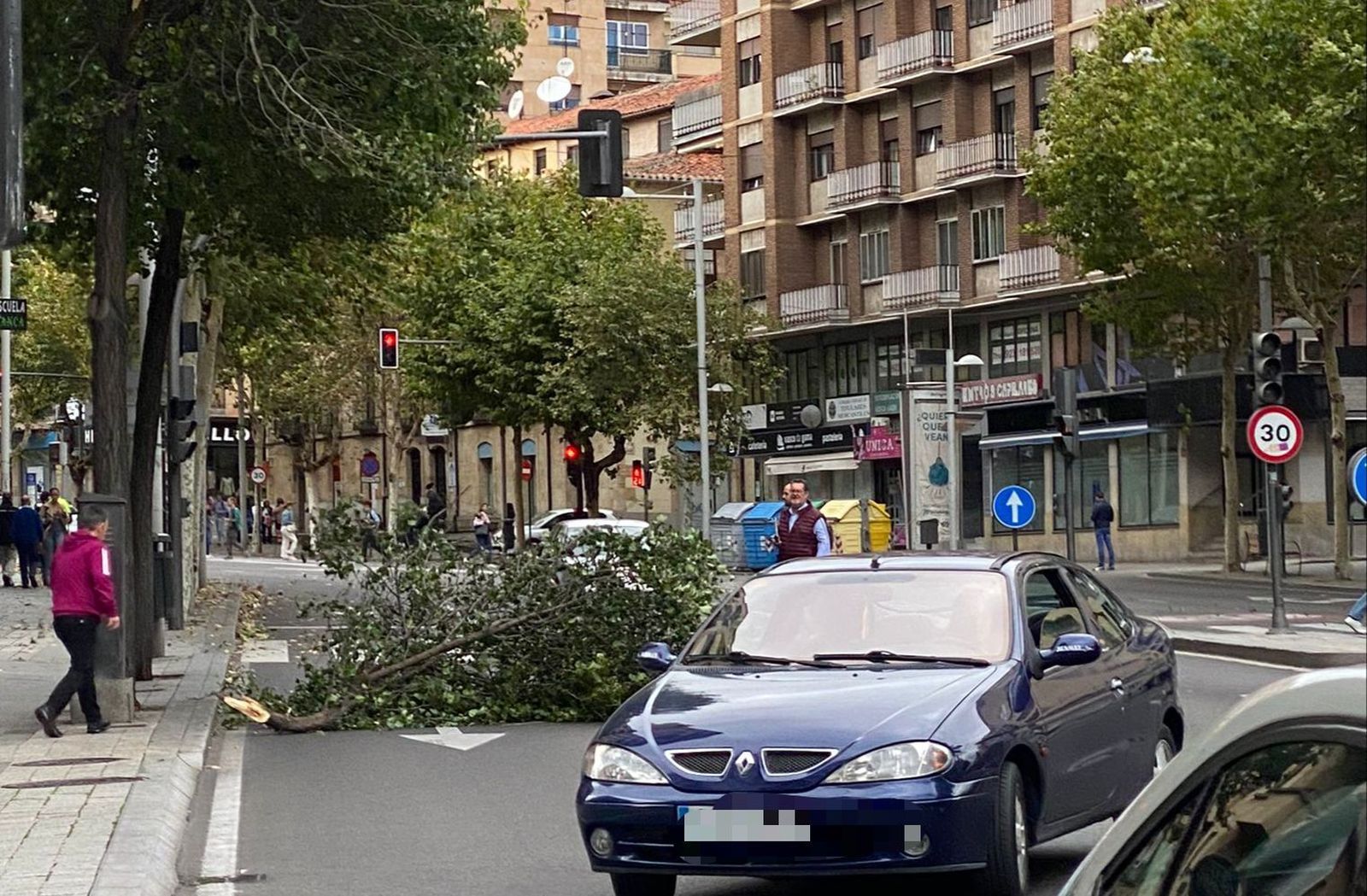El fuerte viento arranca una rama de un árbol en plena avenida de Mirat y pone en peligro a los conductores