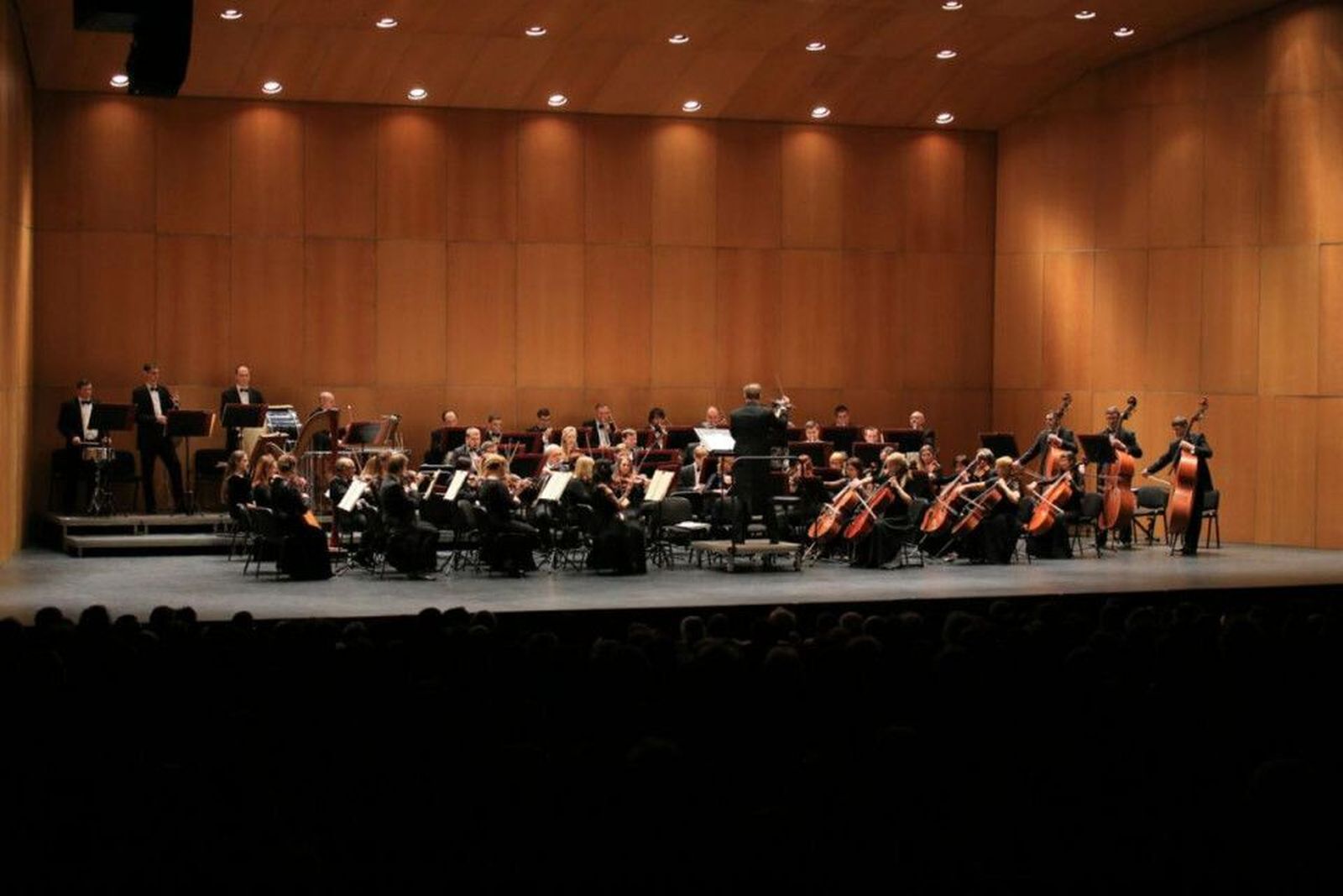 Concierto año nuevo