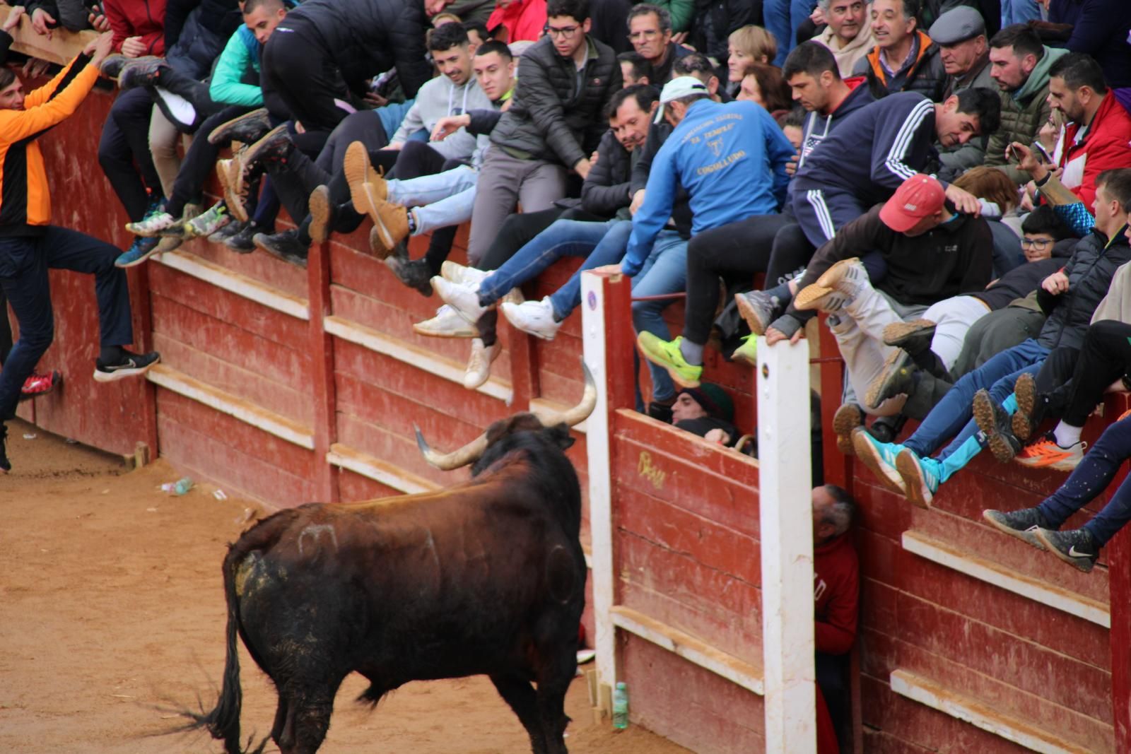 capea-matutina-del-martes-de-carnaval-23