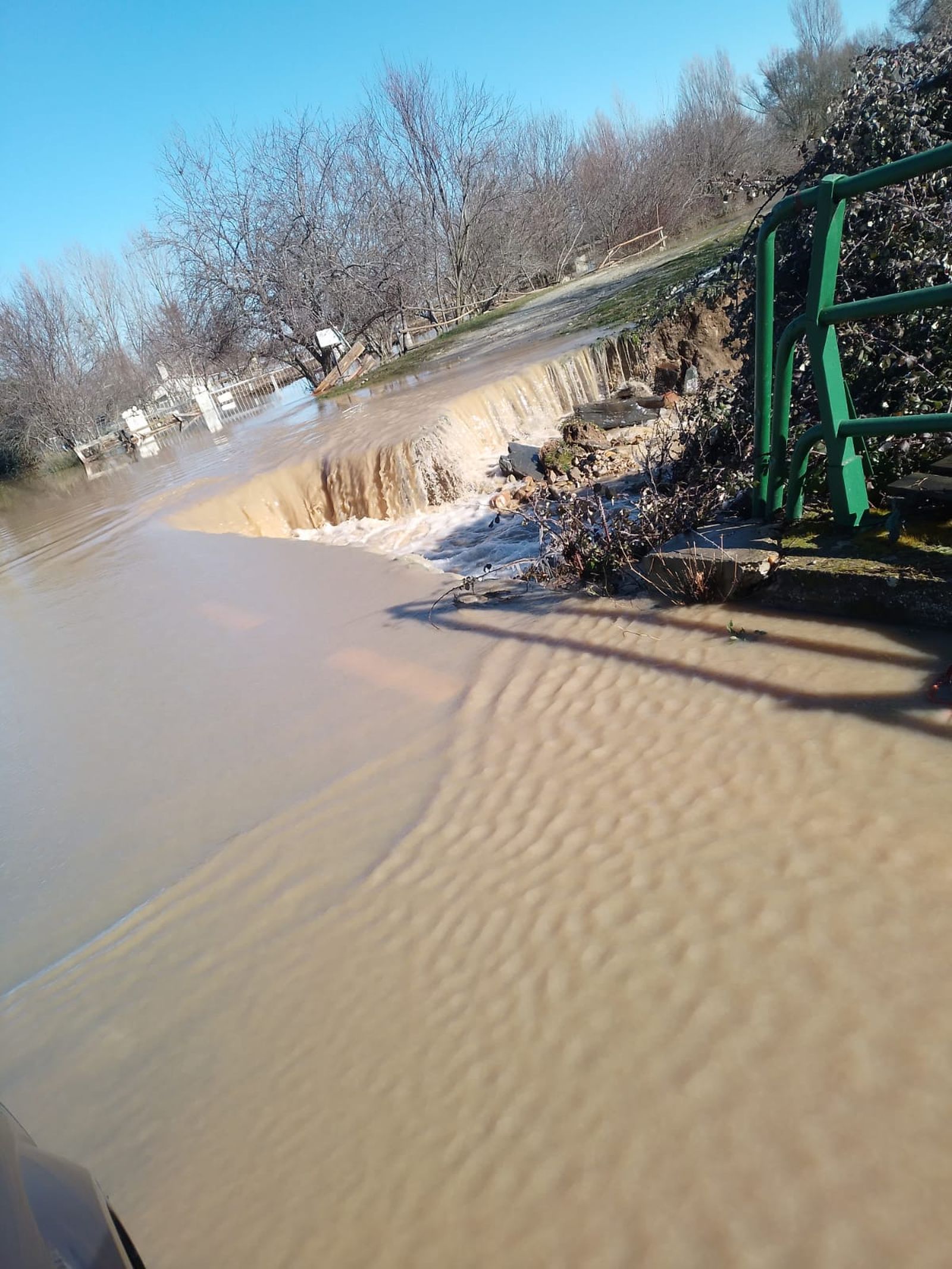 whatsapp-image-2024-01-20-at-13-51-06