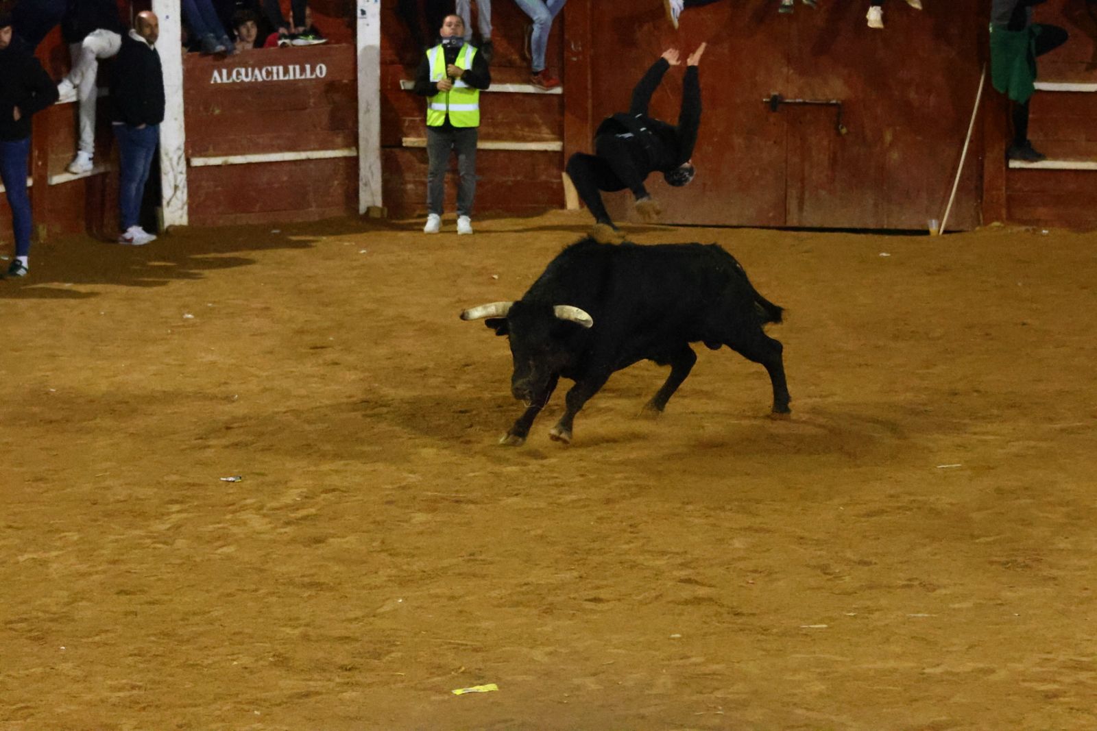 Dos toros de Brazuelas para el arranque del martes, el último día del Carnaval del Toro