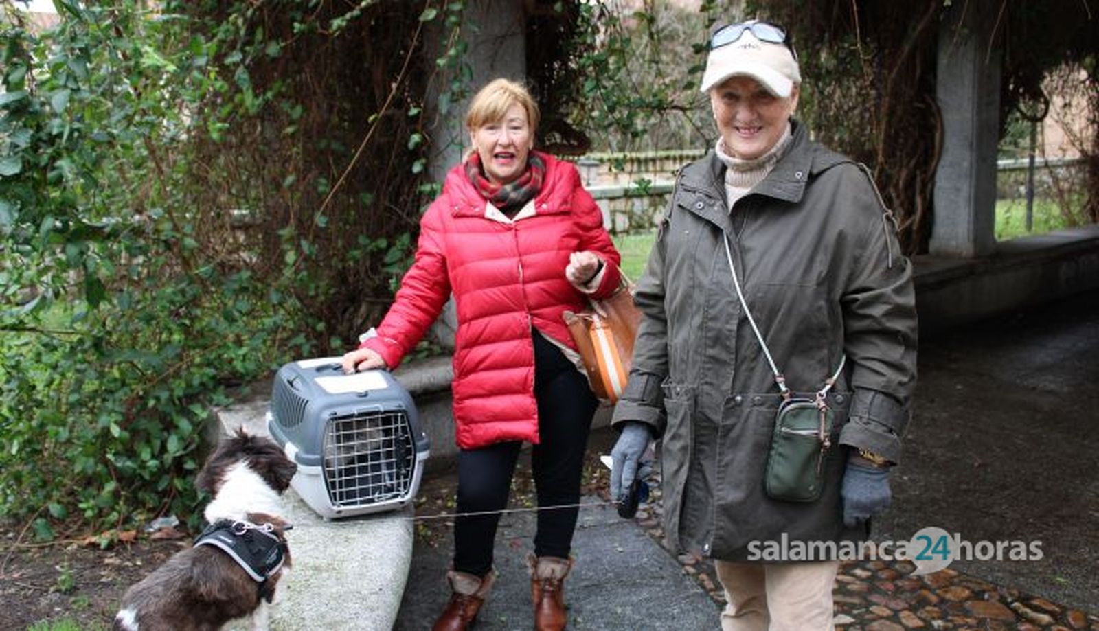 San Antón, bendición de animales 2024. Foto S24H (1)
