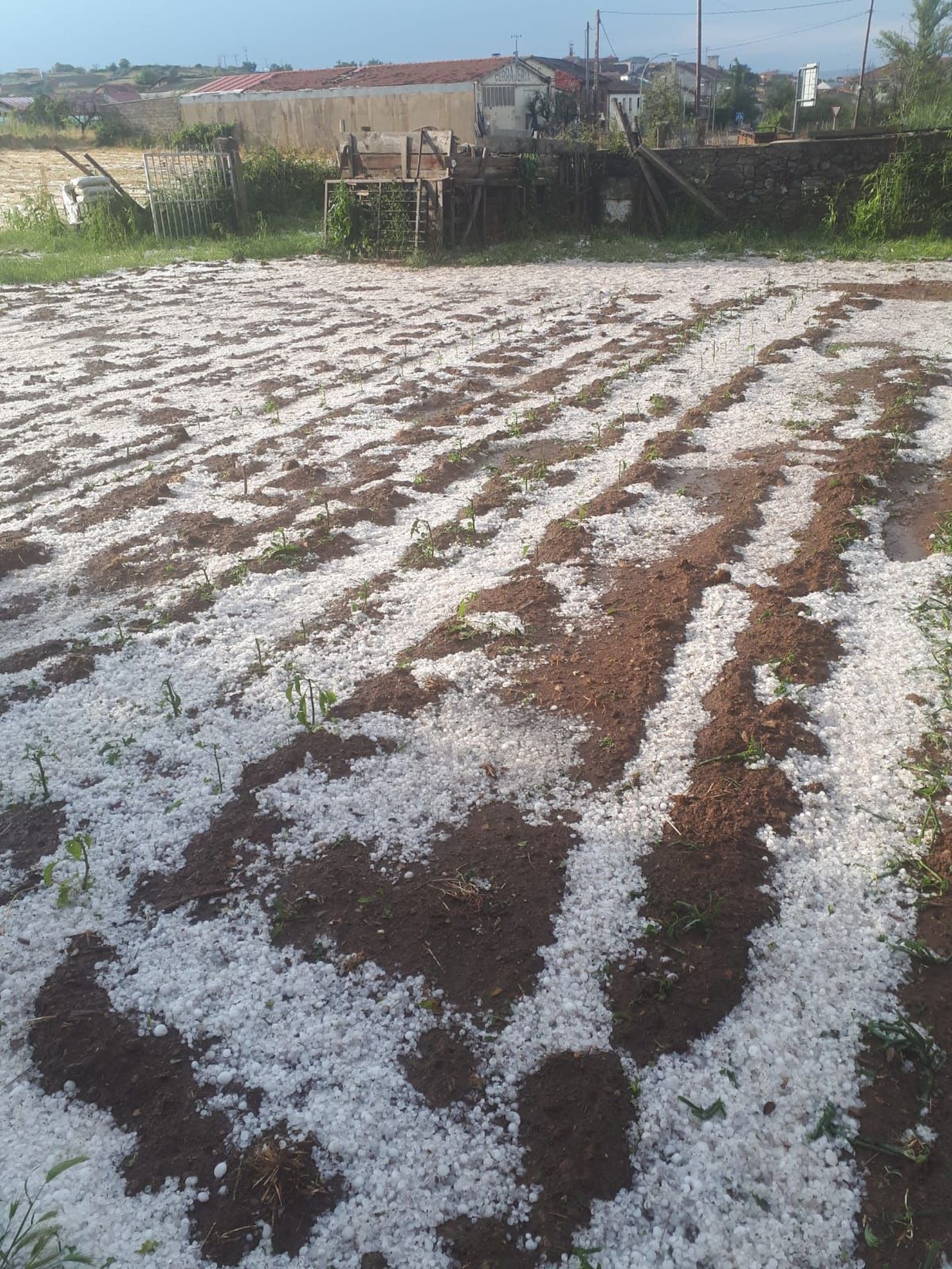 Granizo en San Vitero y San Cristóbal (2)