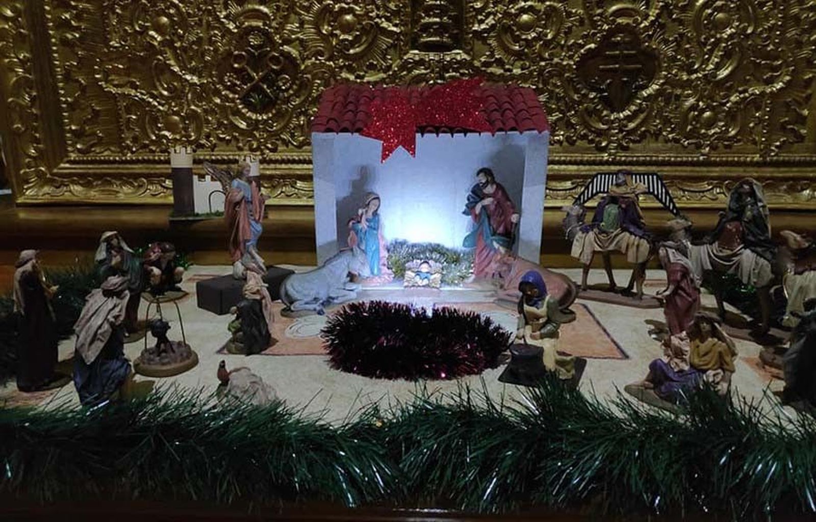 129734313 217444123117239 6025530554774972270 n