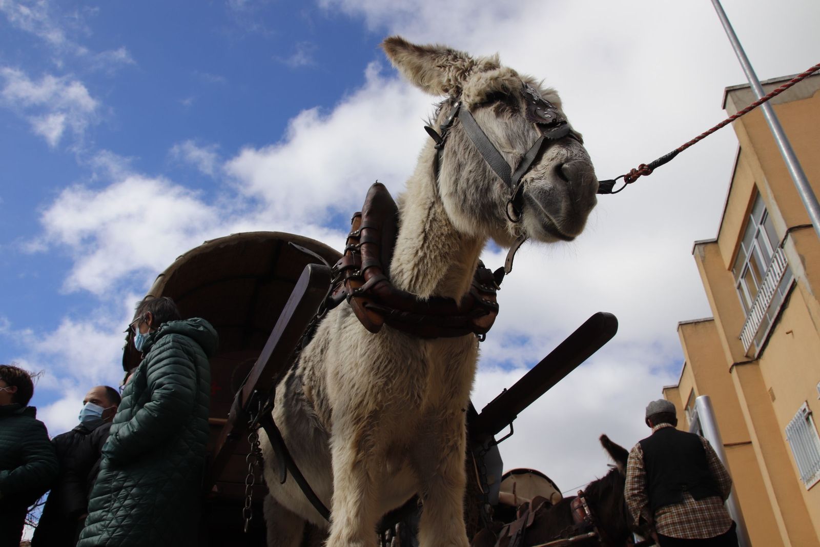 20220219130920-mg-8024