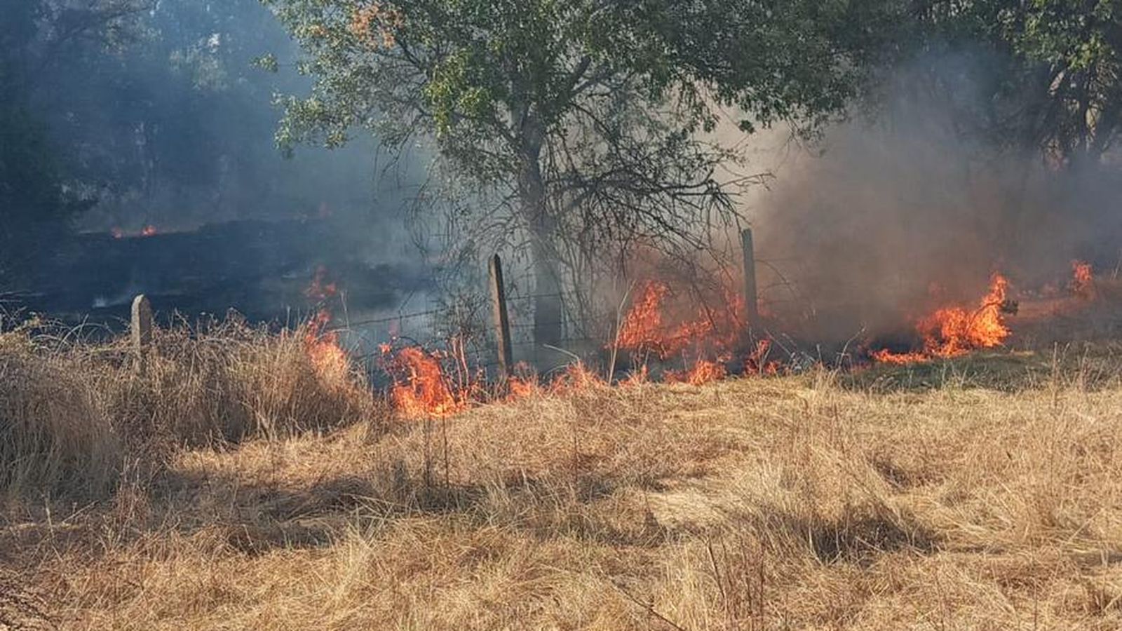 Incendio forestal declarado en Gallegos de Argañán