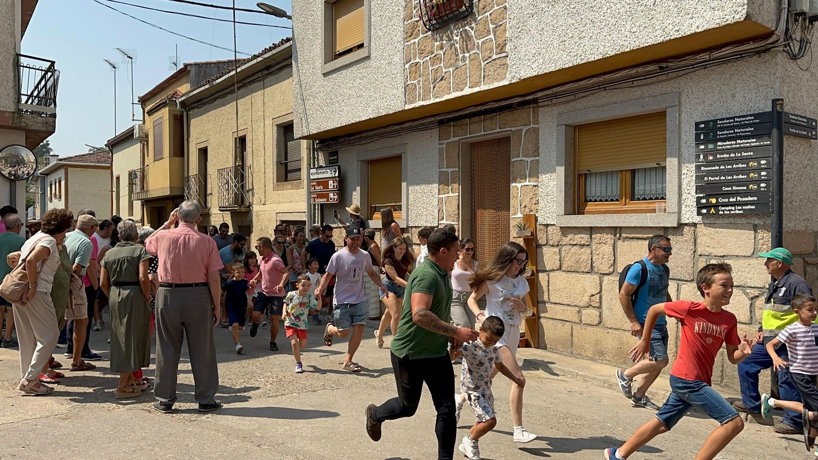 Mini bueyes en Aldeadávila