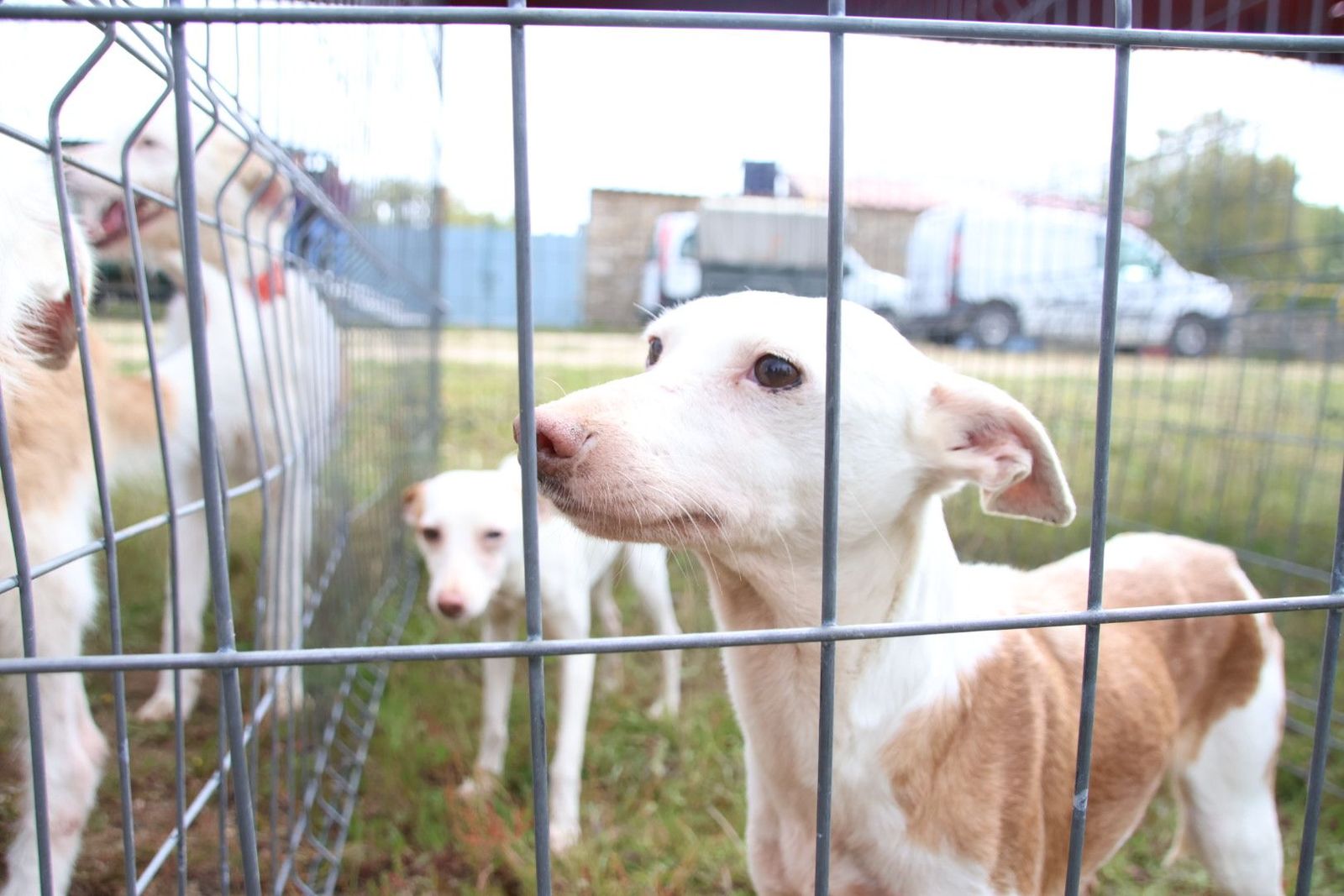 20240501104124-img-2957