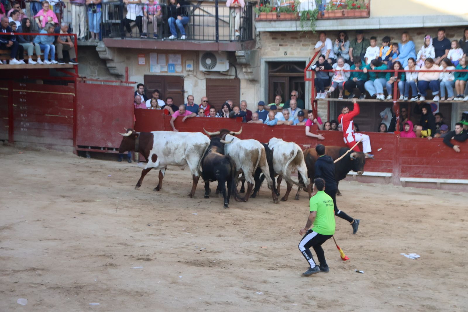 Encierro en Aldeadávila