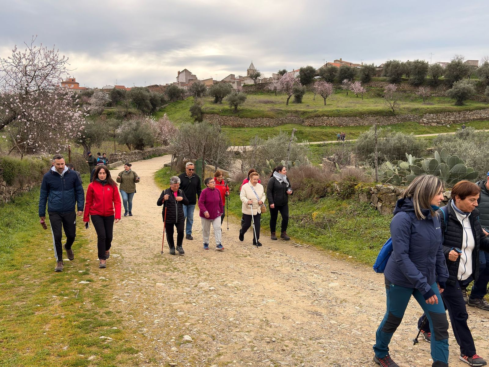 whatsapp-image-2025-02-15-at-11-09-34