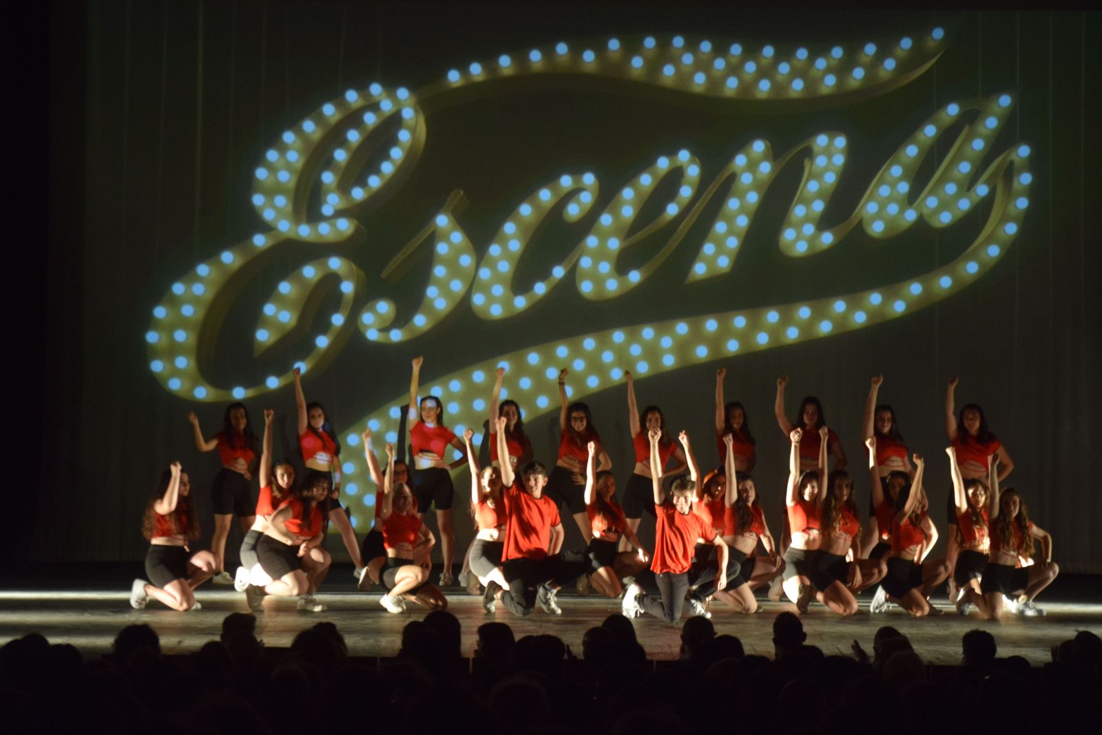 espectaculo-volver-de-escena-en-el-teatro-ramos-carrion-12