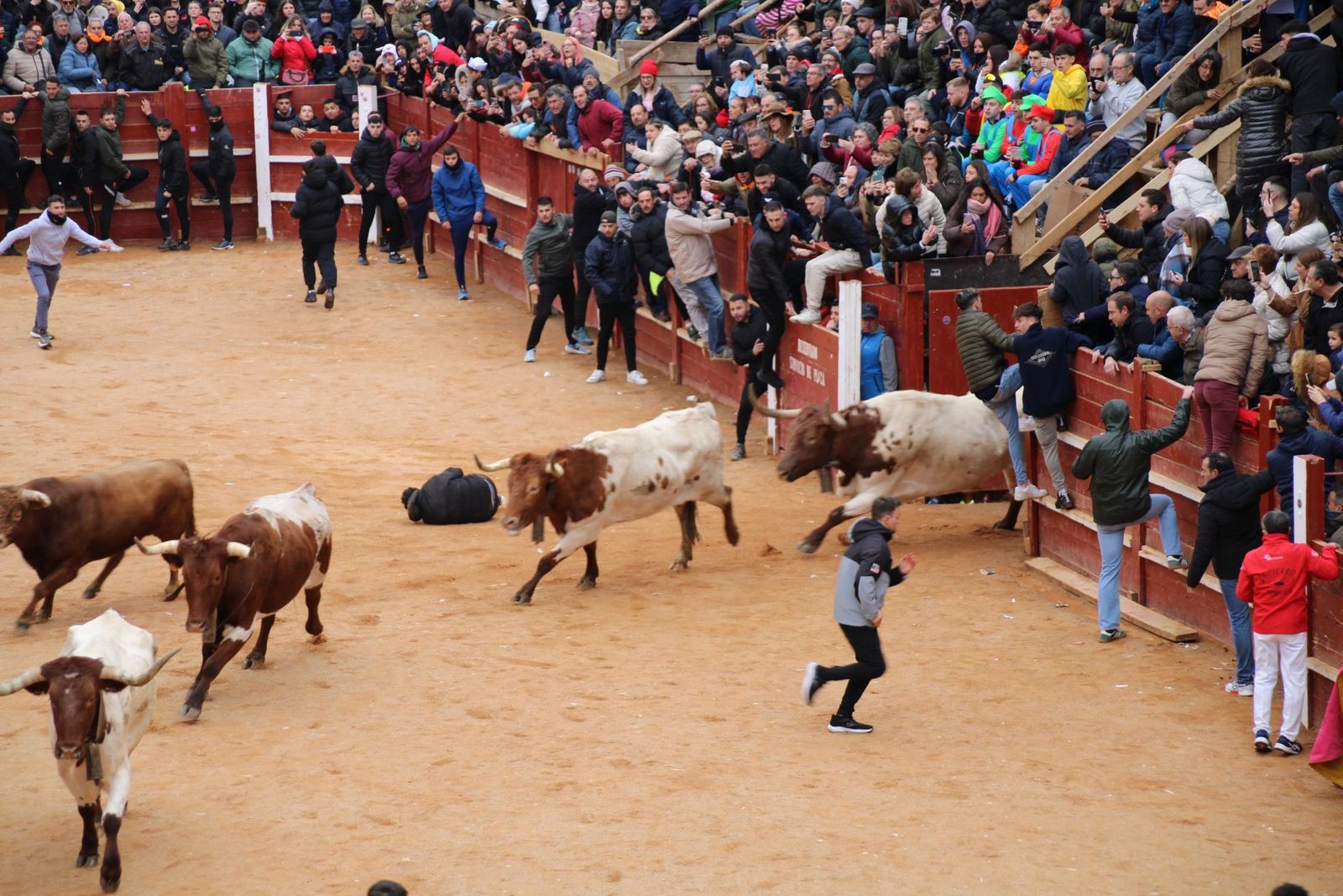 whatsapp-image-2025-03-01-at-13-18-33