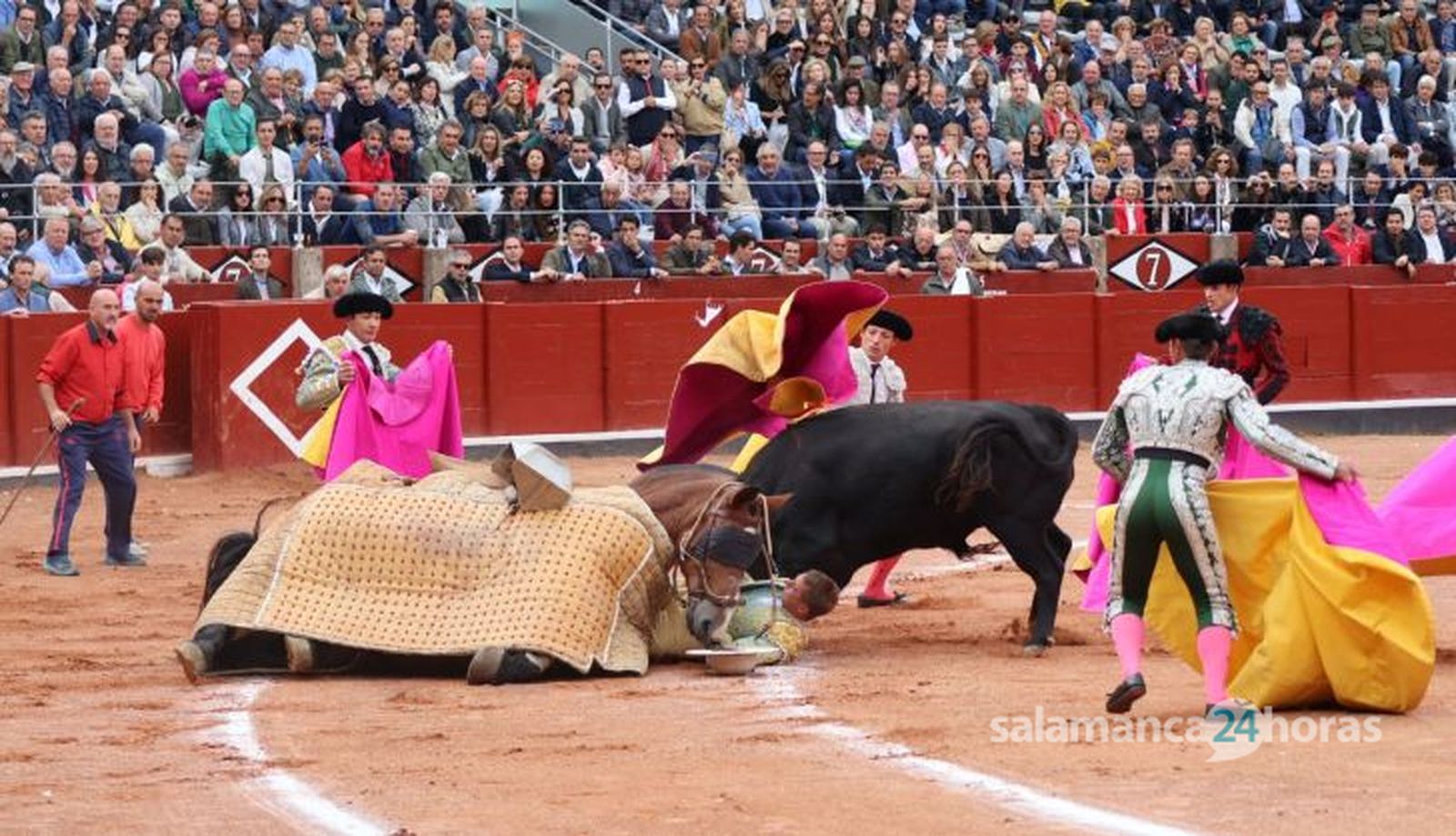 GALERÍA | Corrida concurso de despedida de López Chaves y El Juli: momentos más destacados del último festejo de abono de la Feria Taurina Virgen de la Vega 2023. Fotos Andrea M.