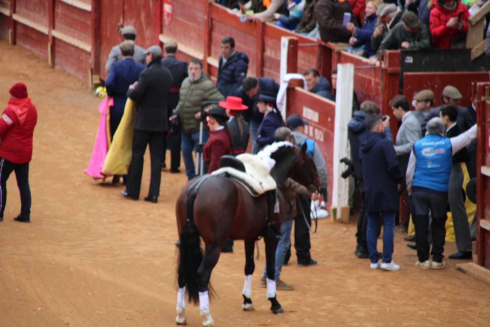 whatsapp-image-2025-03-02-at-16-55-44-2