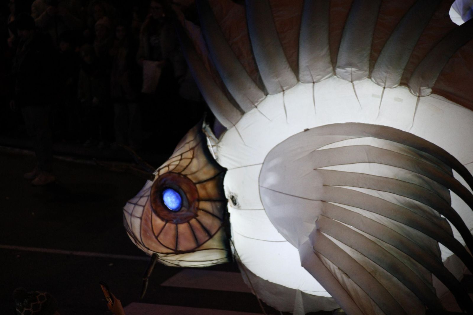 Los Reyes Magos recorren las calles de Salamanca en la Cabalgata 2026