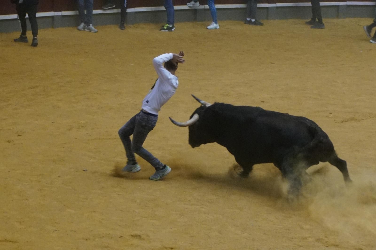 Toro del cajón y capea en Alba de Tormes