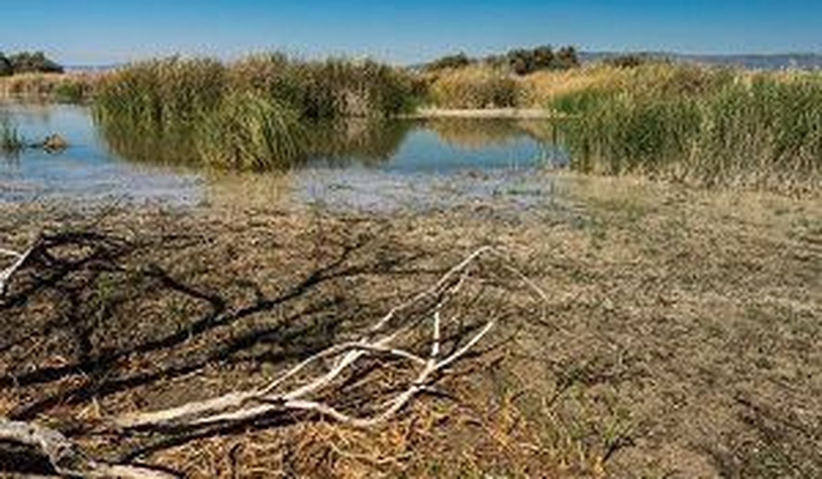 Las sequías no se resuelven con medidas urgentes sino con prevención y planificación