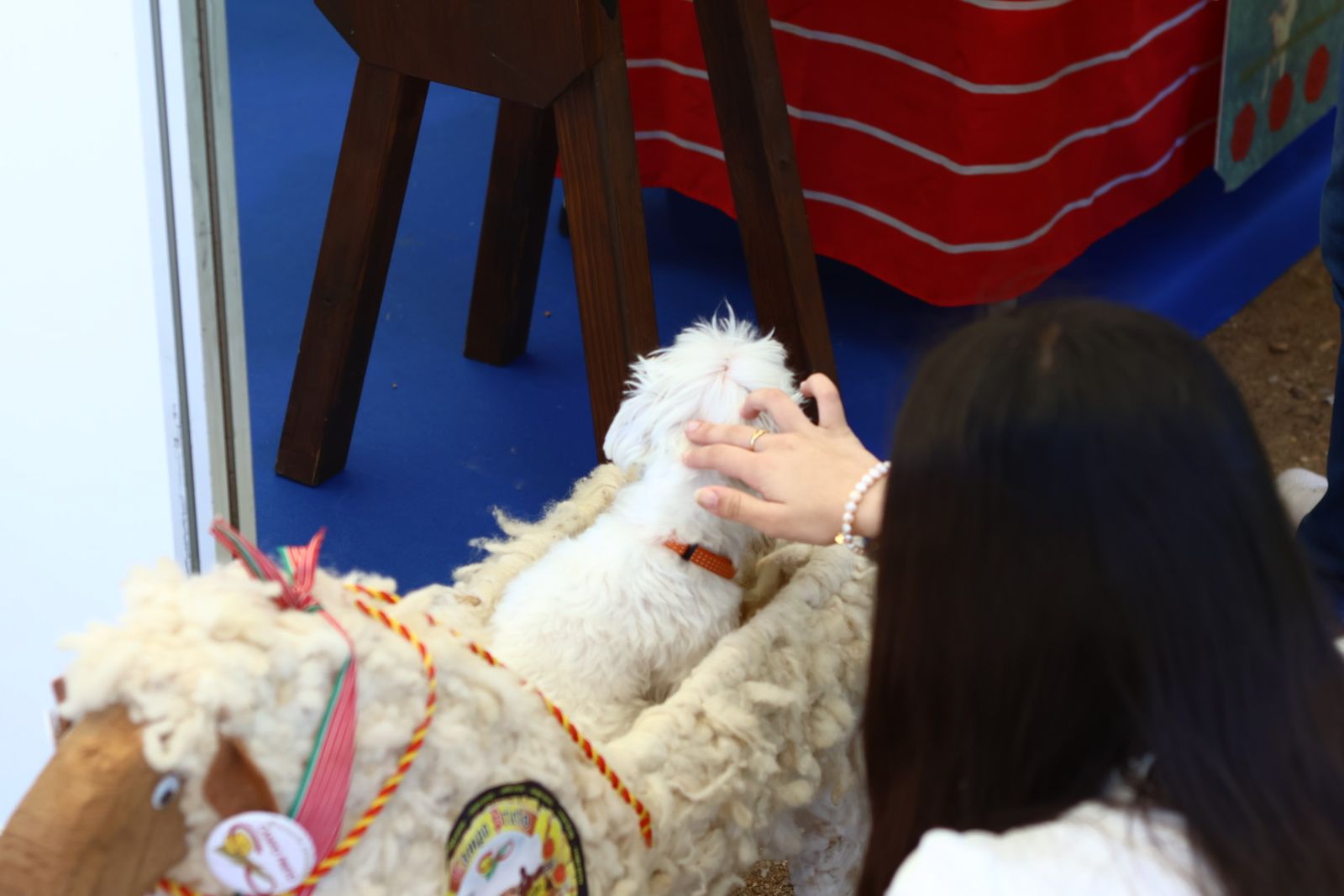 Ledesma ensalza la tradición salmantina con su Feria Alimentaria y Muestra Artesana