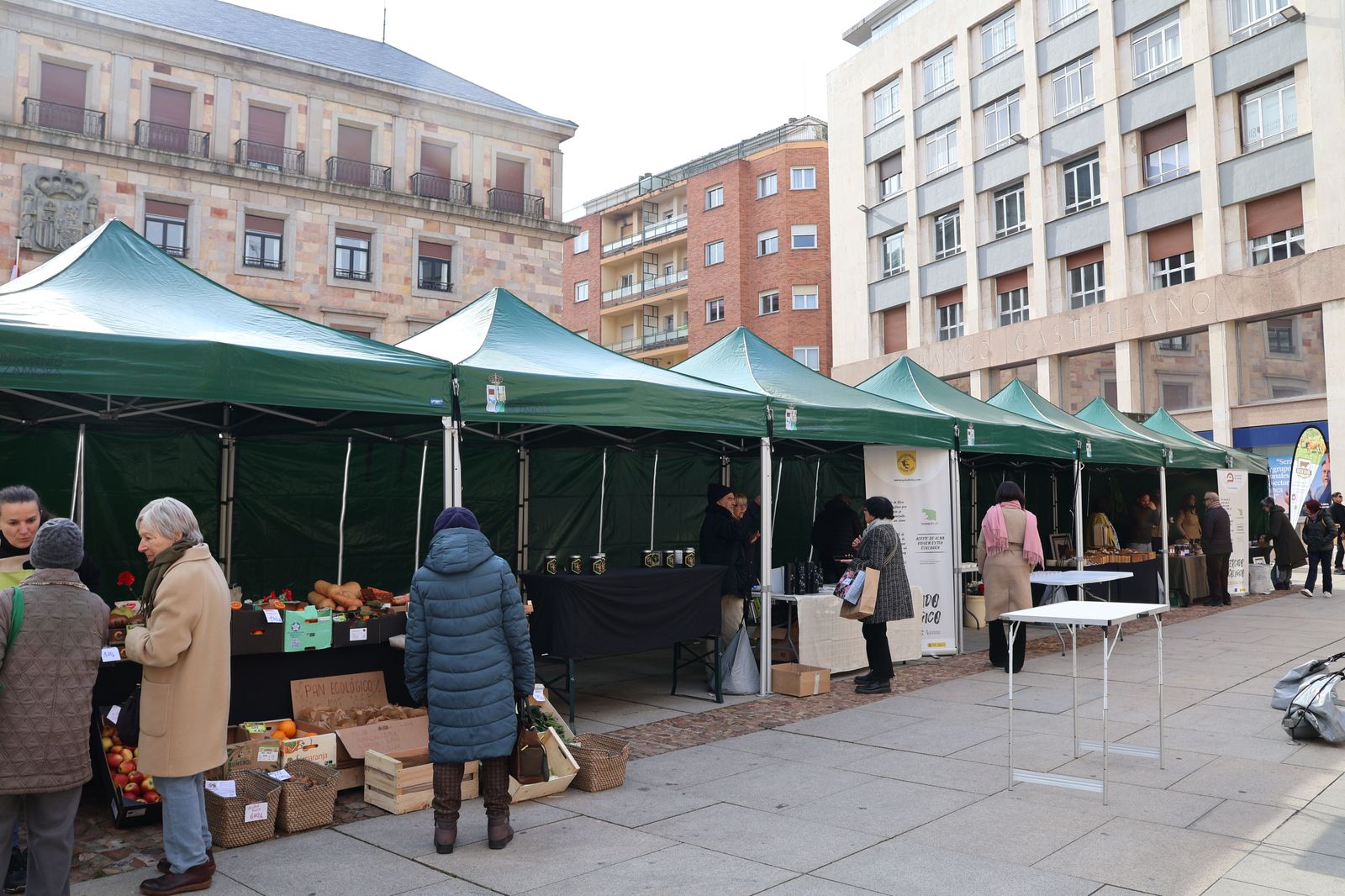 mercado-ecologico-en-la-plaza-de-la-constitucion-12