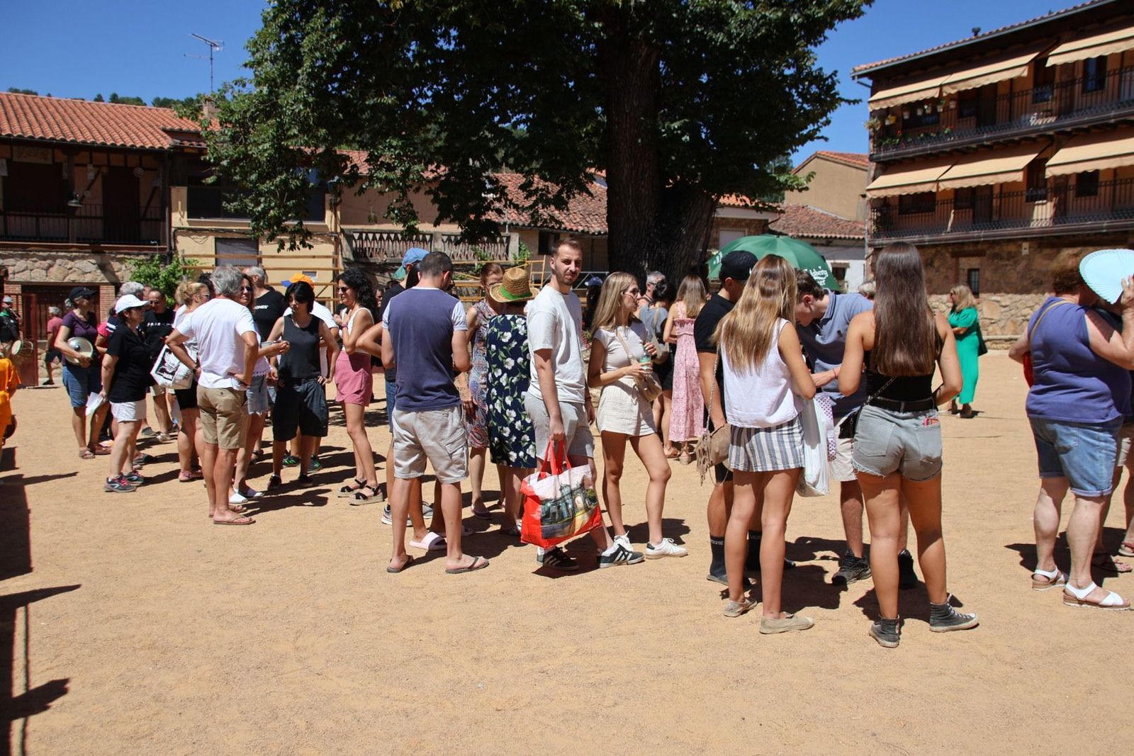 20240822135559-img-5237