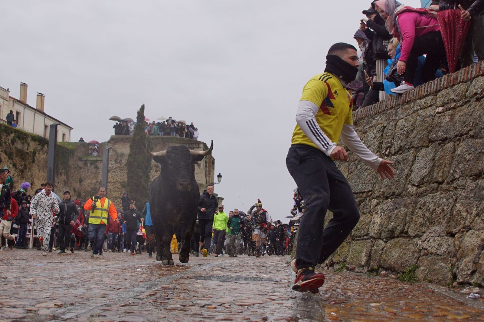 whatsapp-image-2025-03-03-at-14-51-25-3