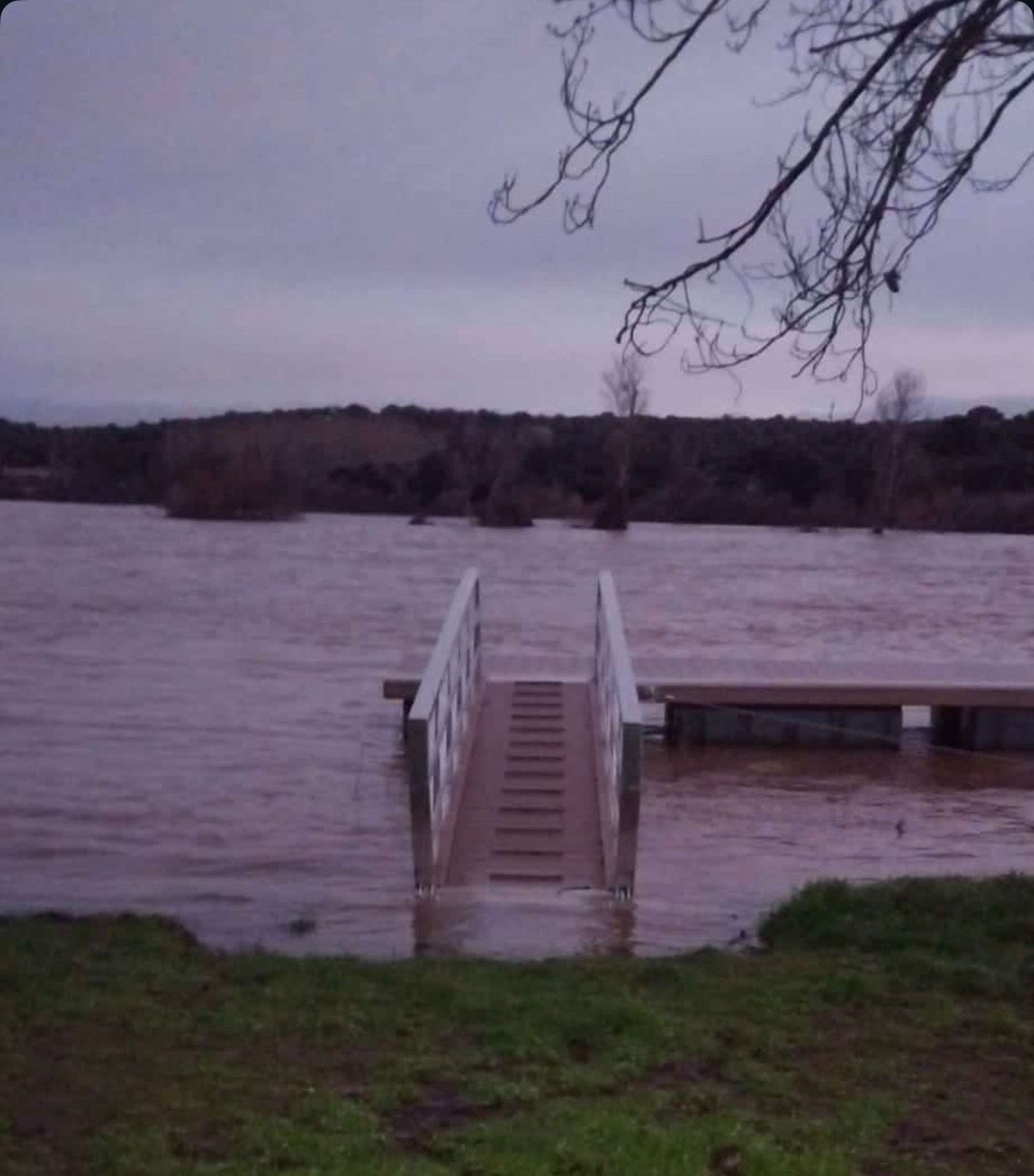 El Tormes desbordado en Ledesma este 6 de febrero de 2026