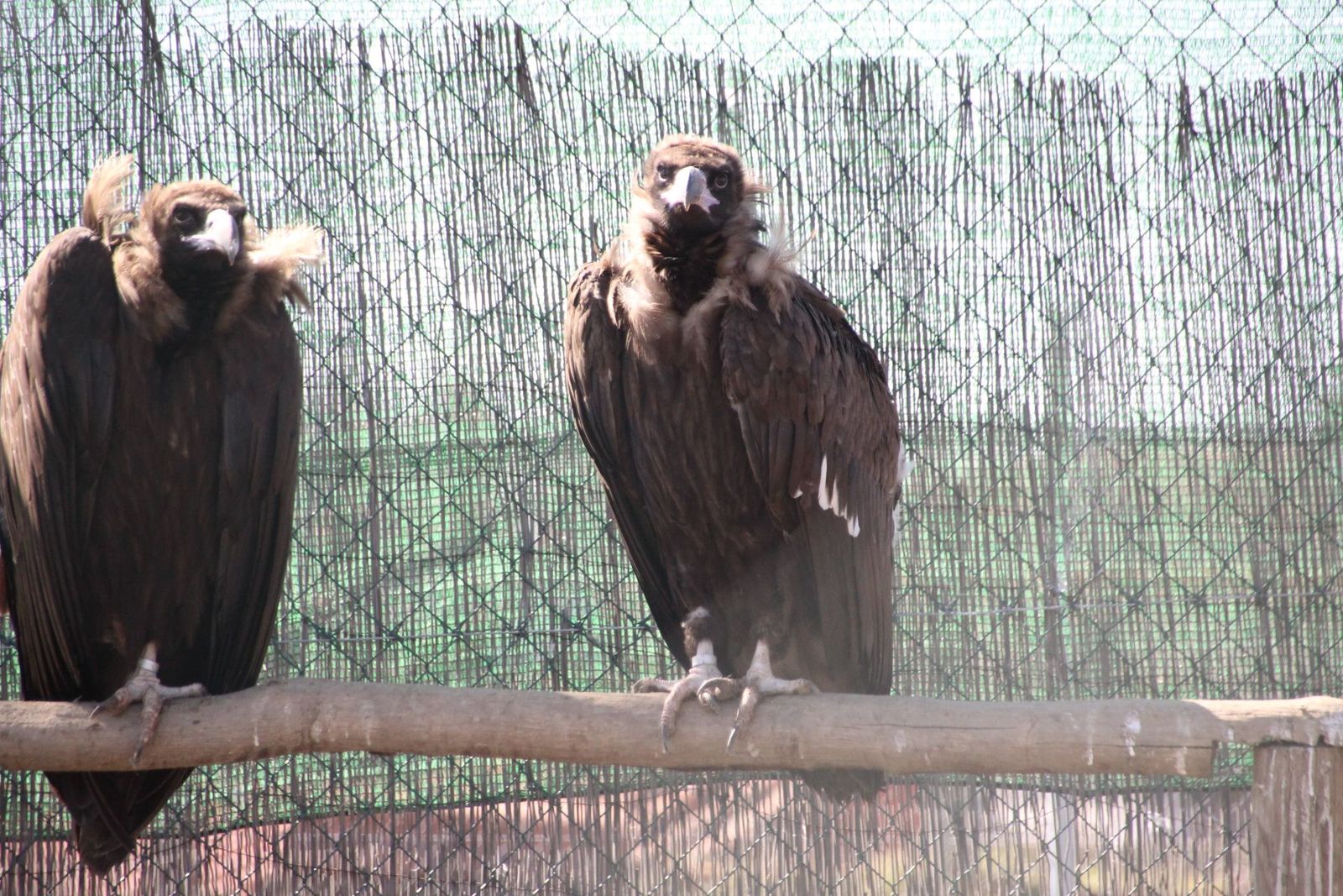 20230304152007-img-1673