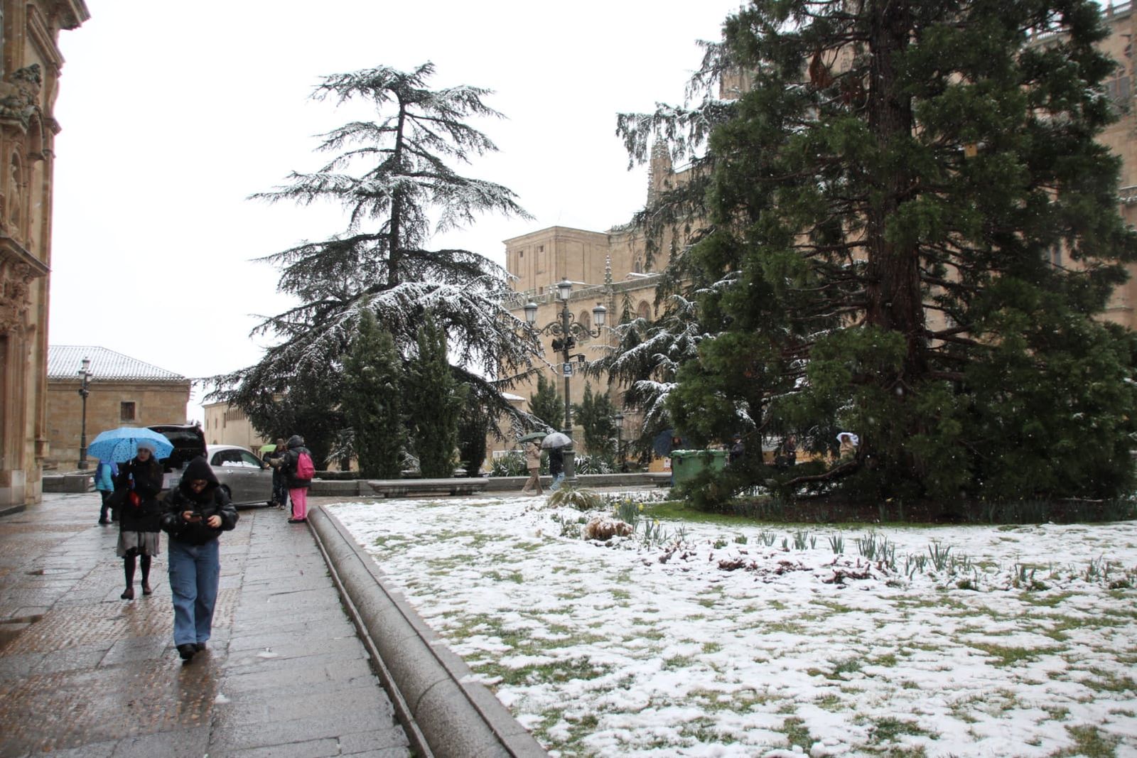 galeria-nieve-en-salamanca-capital-23-de-febrero-16