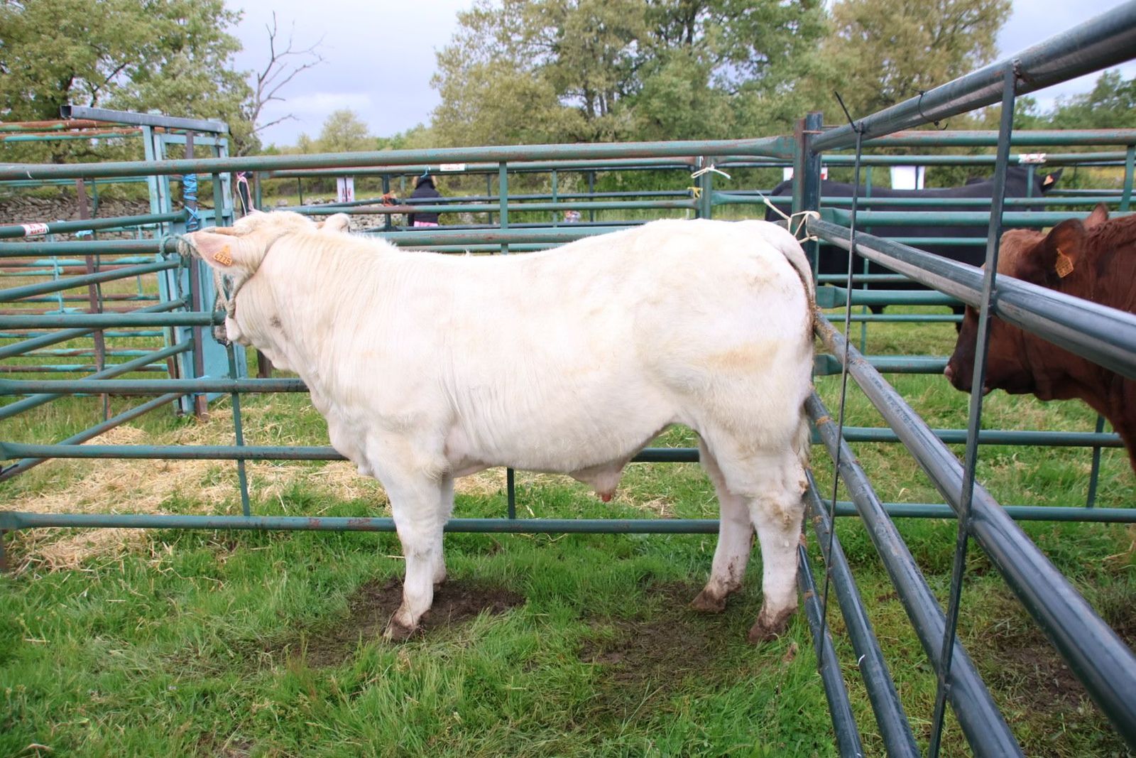 20240501104642-img-2979