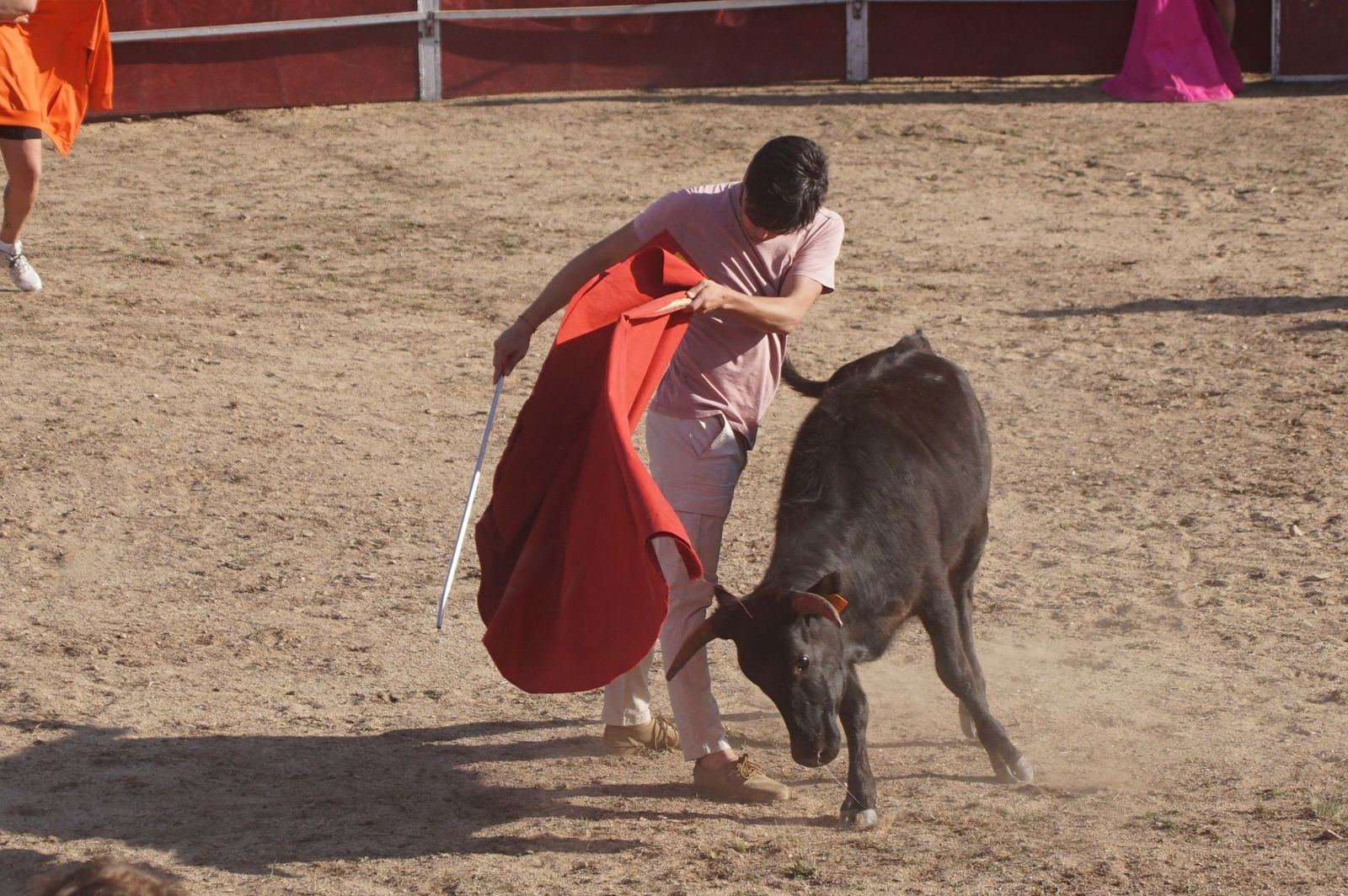 capea-fiestas-de-carrascal-de-barregas-31