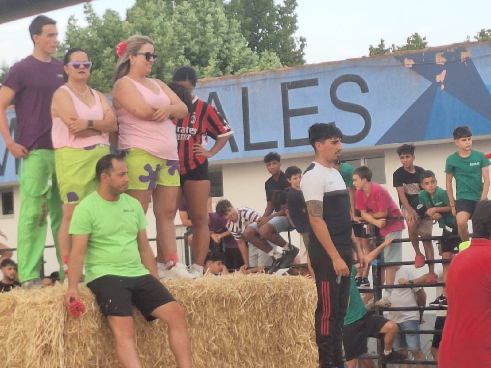 Cientos de personas disfrutan de las vaquillas de Valdelosa