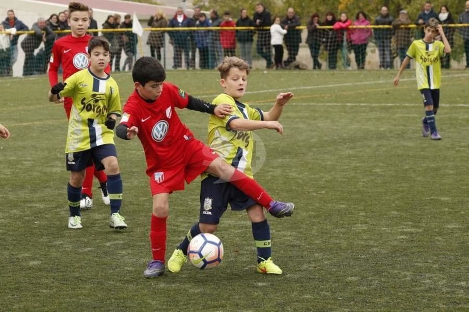 Diecinueve conjuntos del fútbol base aún son invencibles